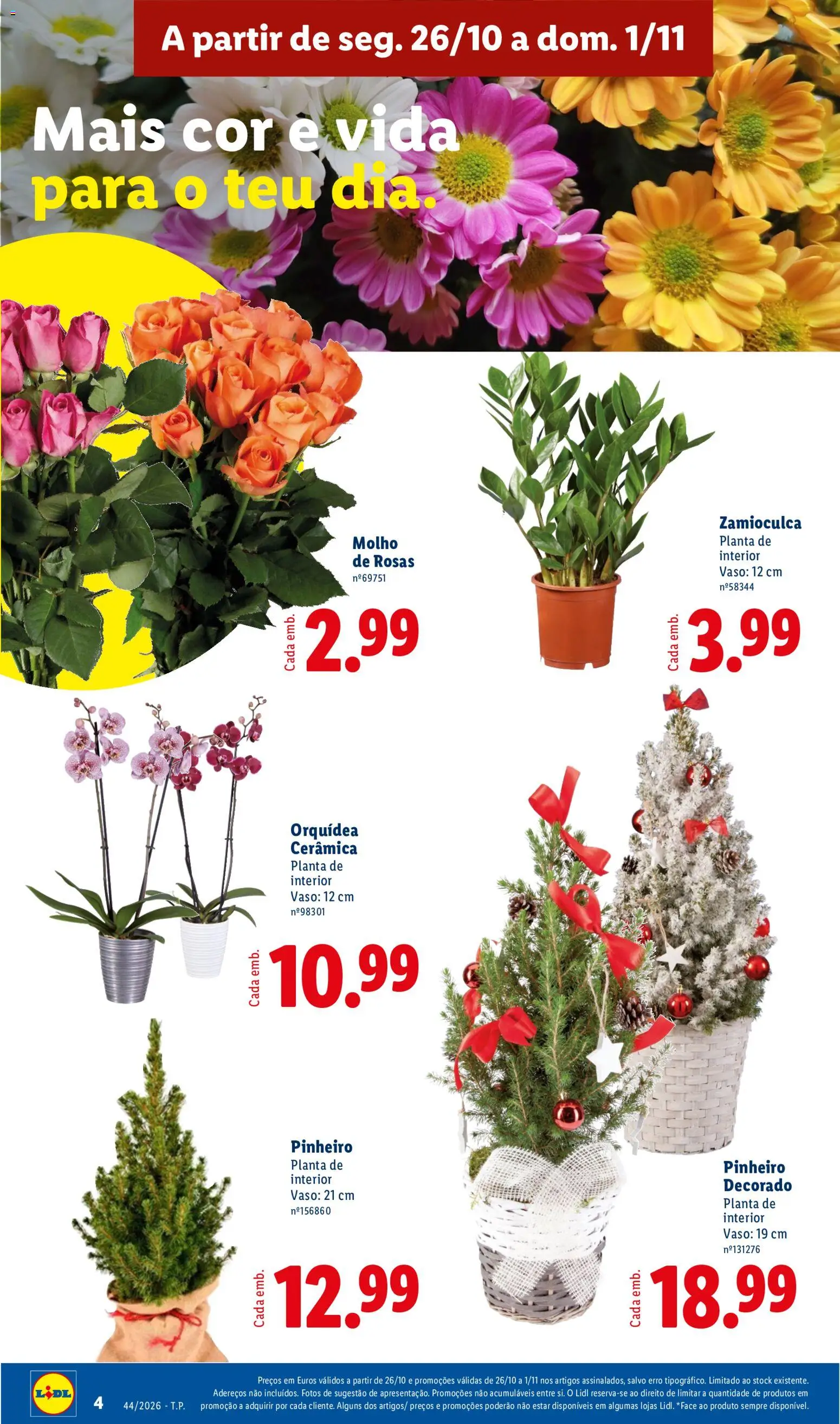 Lidl folheto │ válido de 26/10/2026 | Página: 4