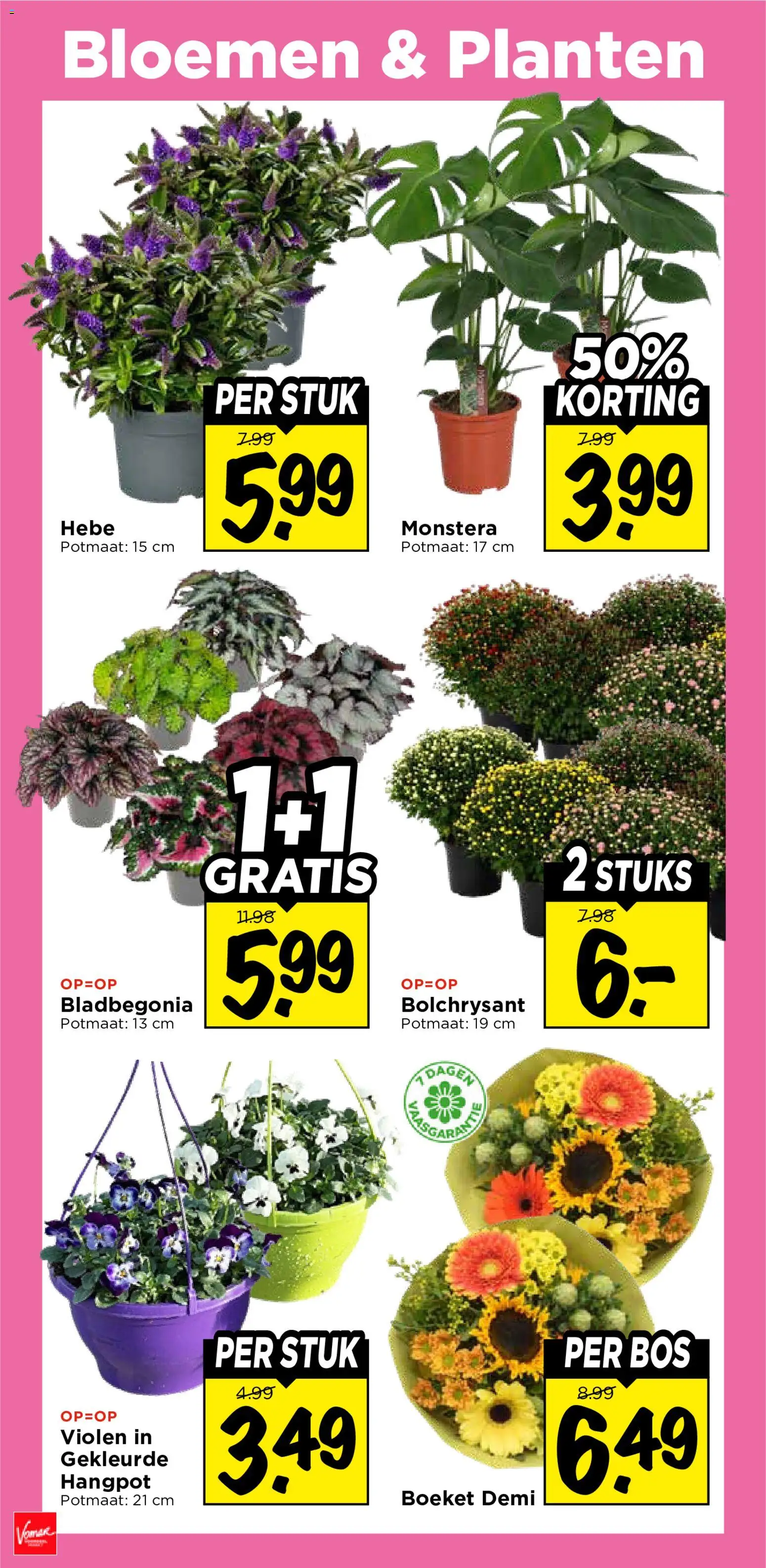 {H1} | Pagina: 39 | Producten: Bloemen