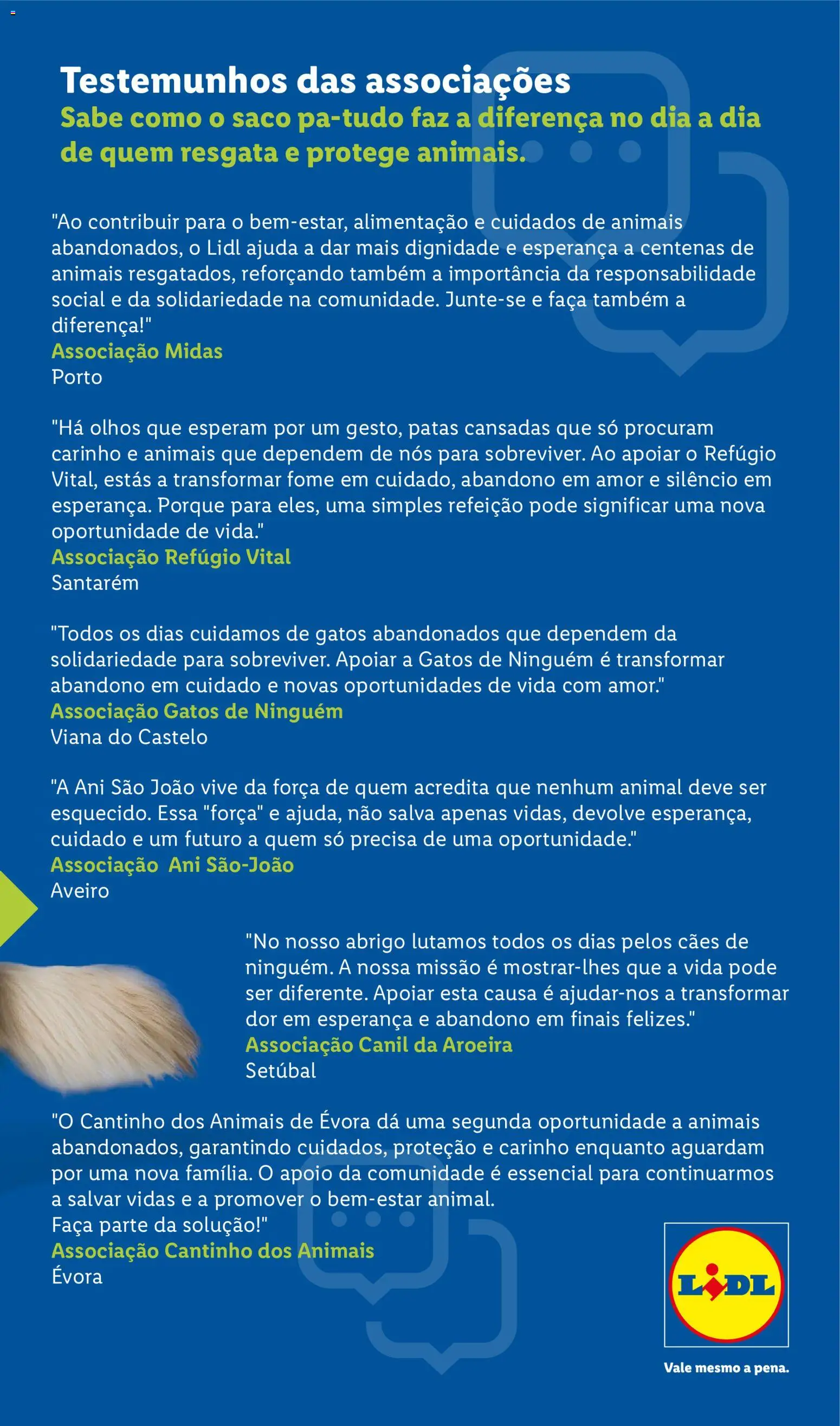 Lidl folheto │ válido de 10/08/2026 | Página: 39 | Produtos: Faca, Saco