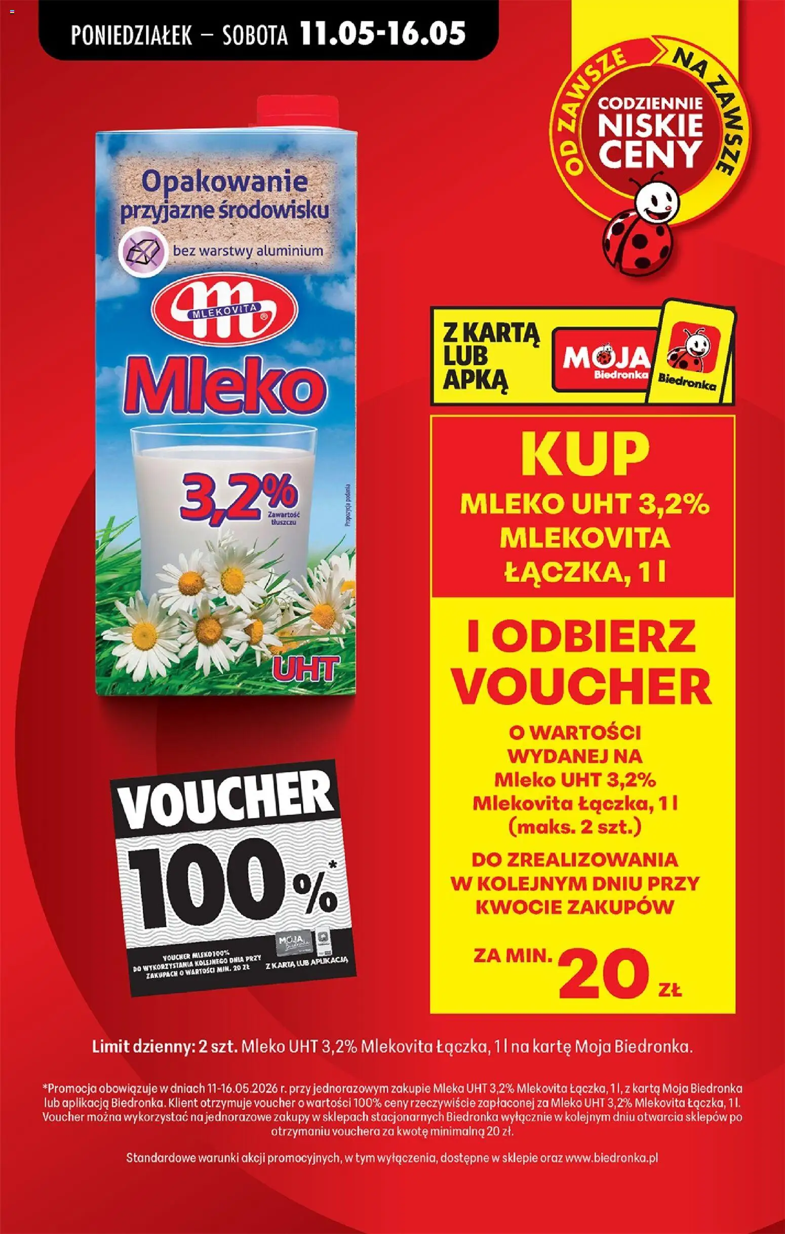 Biedronka gazetka od poniedziałku od 11.05.2026 | Strona: 17