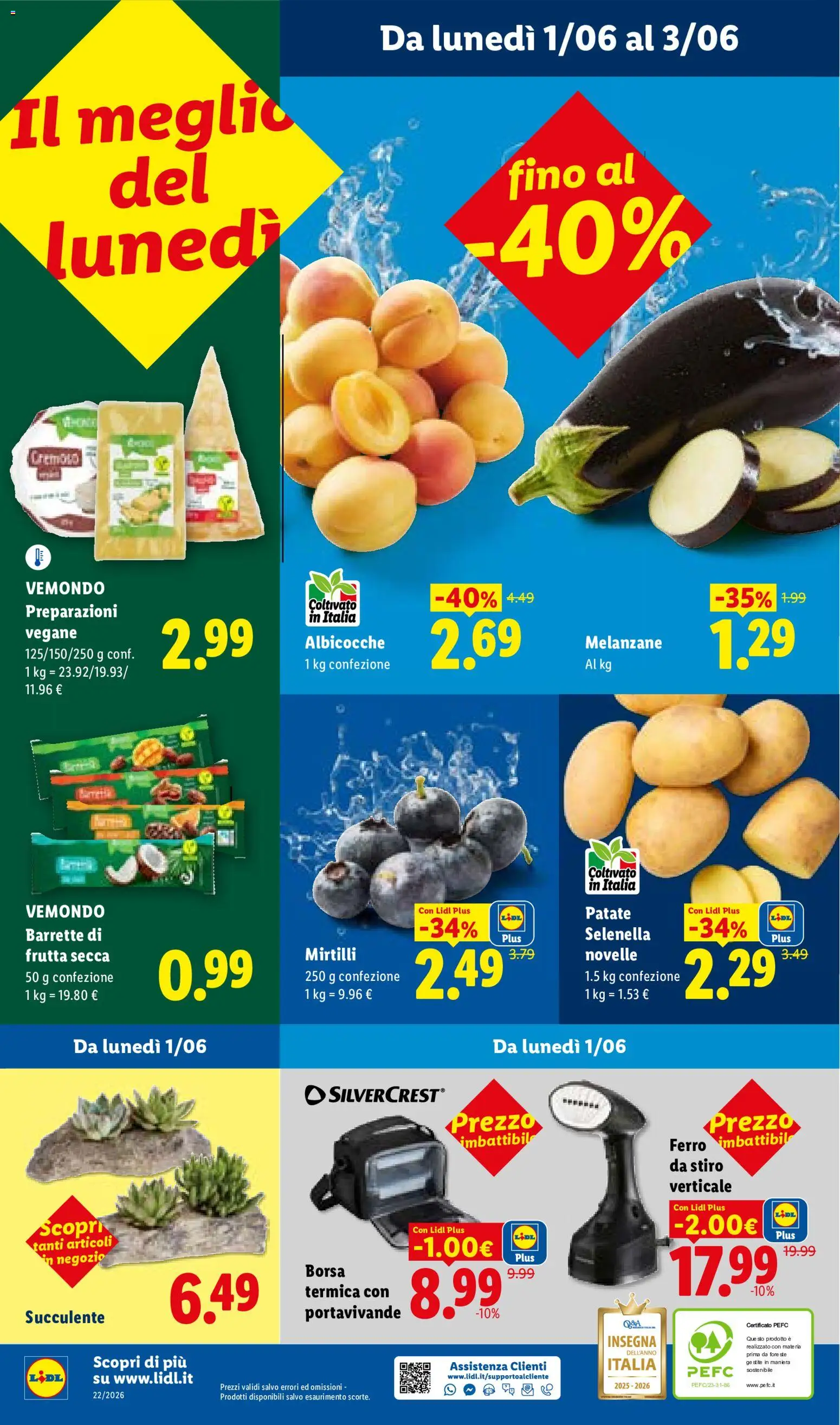 Volantino Lidl del 28.05.2026 | Pagina: 53 | Prodotti: Borsa termica, Mirtilli, Borsa, Ferro da stiro