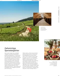 Interspar Meine Weinwelt Sommer 2026 ab 11.06.2026 gültig | Seite: 49 | Produkte: Pfeffer, Brot, Wein, Tomaten