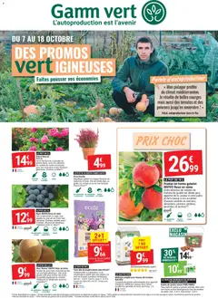 Gamm vert - Prévisualisation de Gamm vert - des promos vertigineuses valide à partir de 07/10/2026