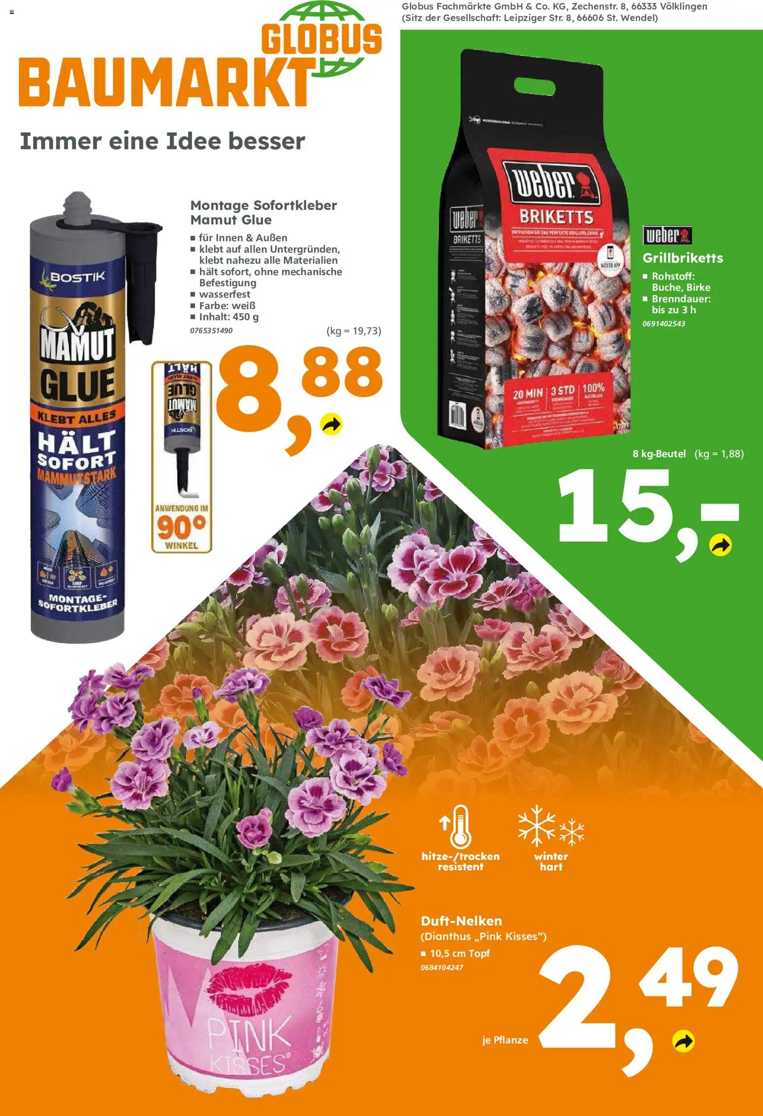 Globus Baumarkt Prospekt Berlin-Treptow – gültig ab 17.08.2026 | Seite: 8