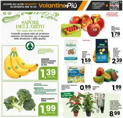 Anteprima del volantino Interspar volantino valido a partire dal 01/10/2026 | Pagina: 10 | Prodotti: Mele, Tè, Peperoni, Forno