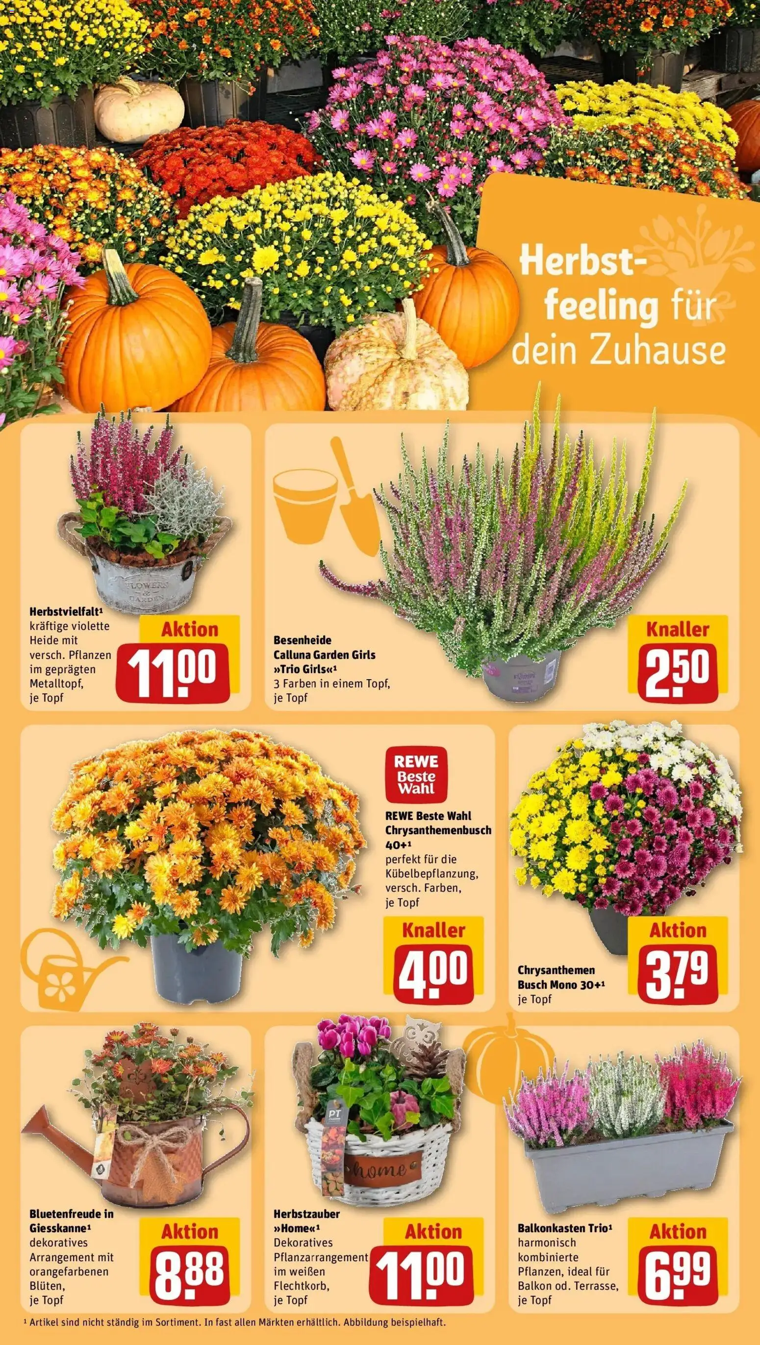 REWE Prospekt ab 21.09.2026 zum Blättern » Angebote | Seite: 20