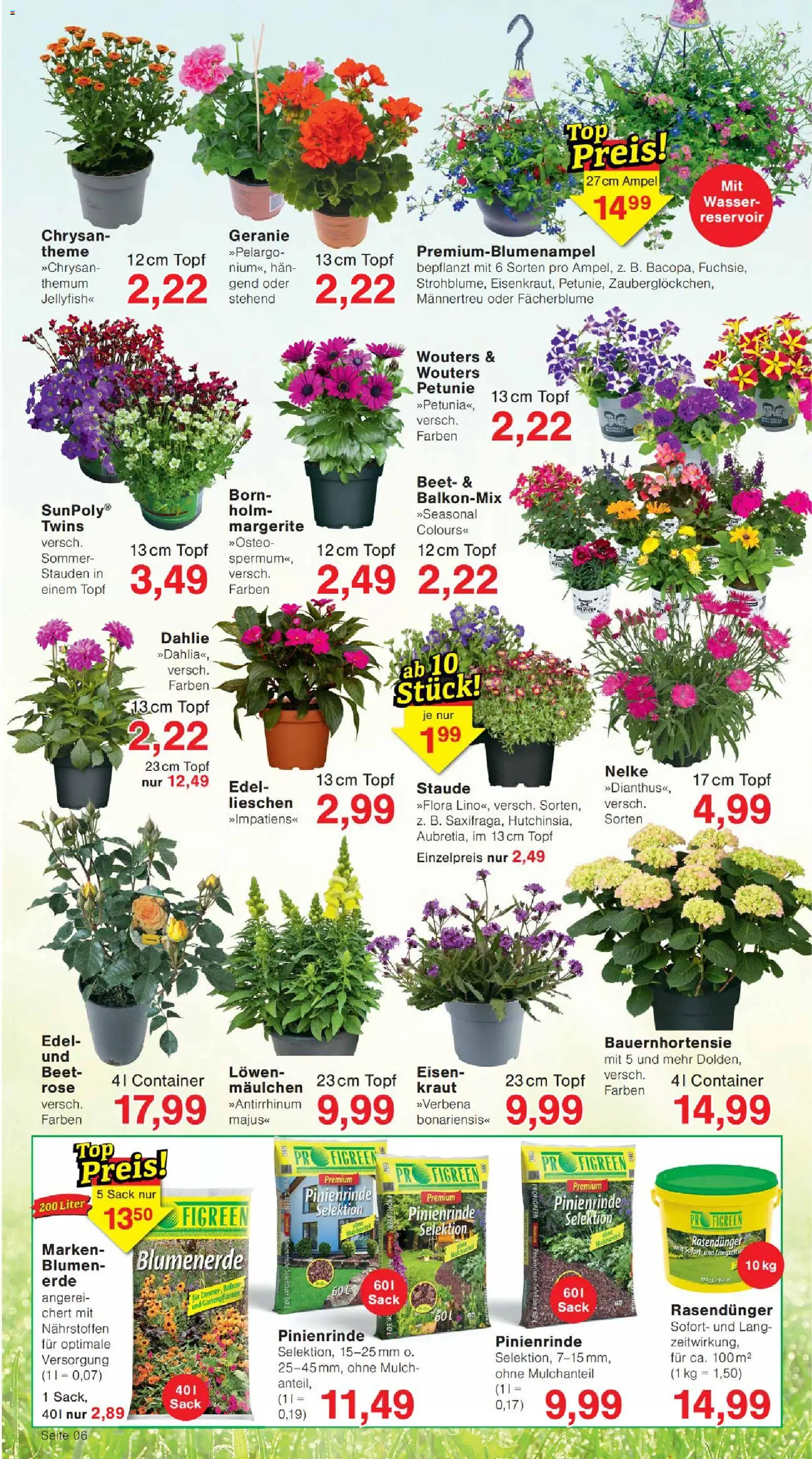 Wiglo Wunderland Prospekt – gültig ab 08.06.2026 | Seite: 10 | Produkte: Blumen, Blumenerde, Wasser, Kraut
