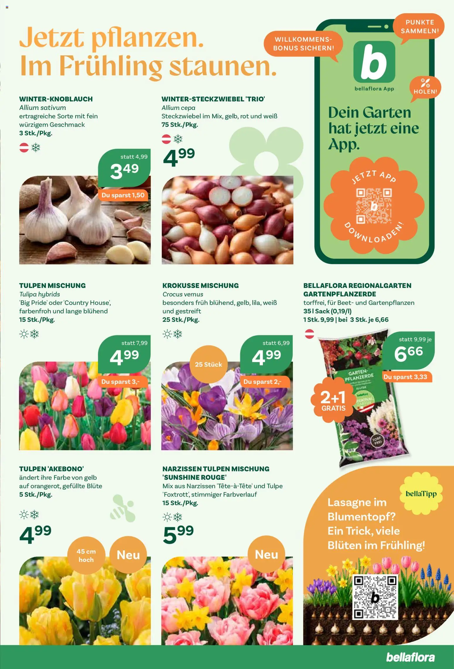 bellaflora Eröffnung Schwechat gültig ab 10.09.2026 | Seite: 5 | Produkte: Blumentopf, Rouge