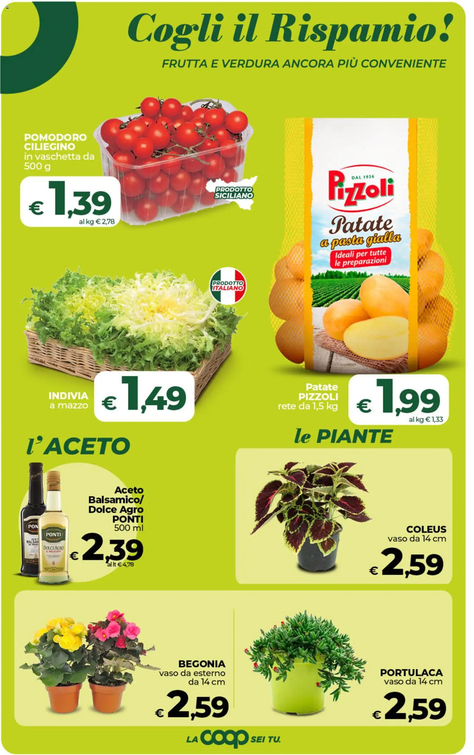 Volantino Ipercoop del 18.06.2026 | Pagina: 28 | Prodotti: Patate, Pomodoro, Pasta, Indivia