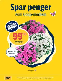 Forhåndsvisning av Coop Prix kundeavis gyldig fra 27/07/2026 | Side: 13
