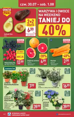 Pogląd oferty "Aldi gazetka" - ważna od 27.07.2026 | Strona: 32 | Produkty: Jeżyny, Doniczki, Kwiaty, Warzywa
