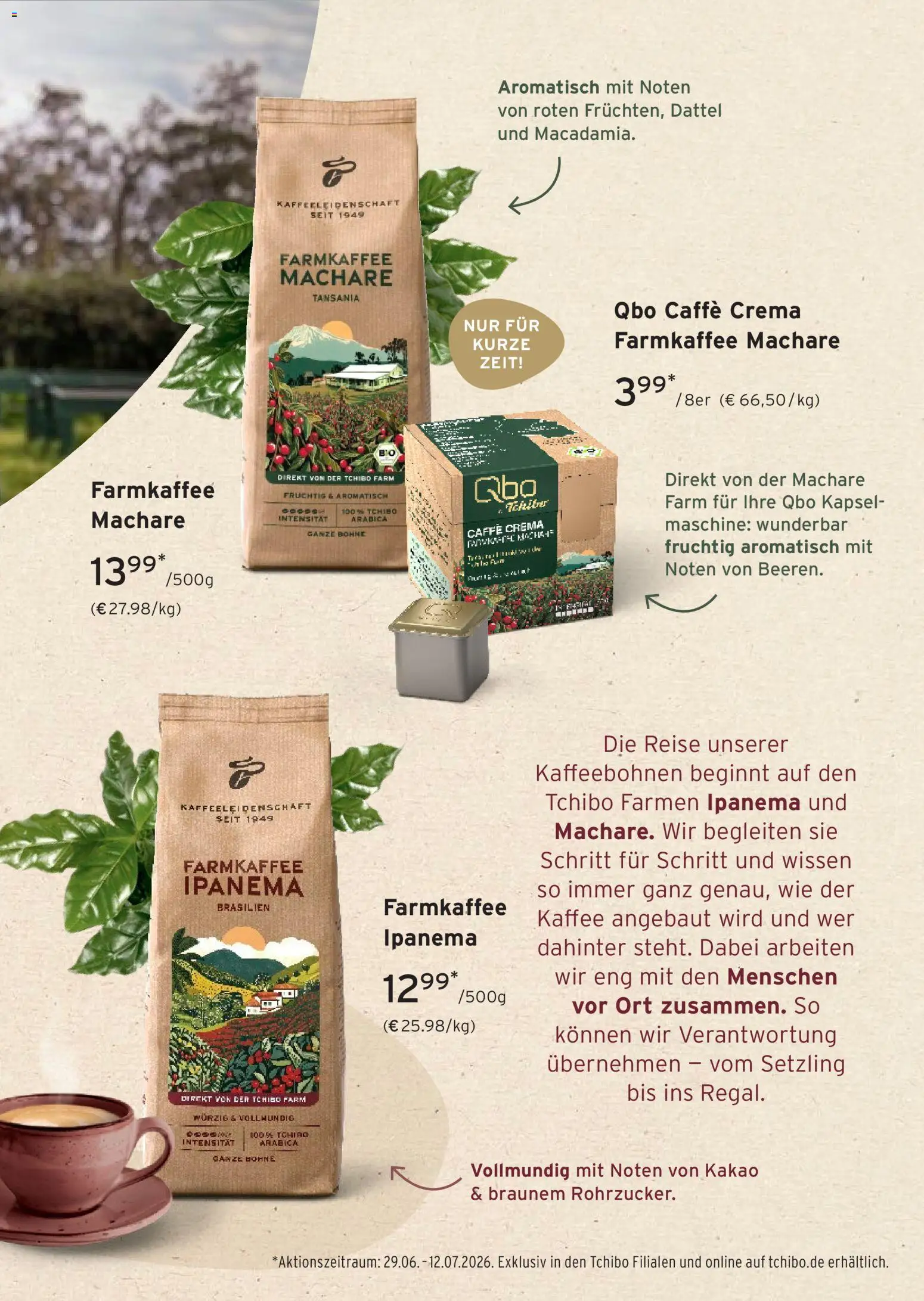 Prospekt Tchibo Tropical Dreams – gültig ab 01.07.2026 | Seite: 29 | Produkte: Kaffee, Dattel