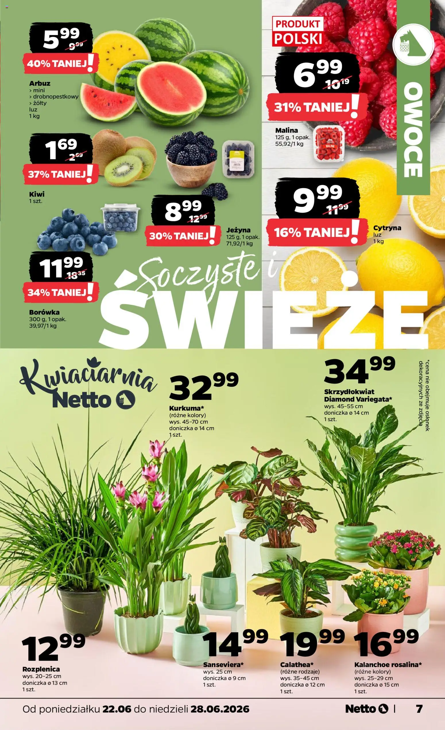 Netto gazetka od poniedziałku spożywcza od 22.06.2026 | Strona: 7