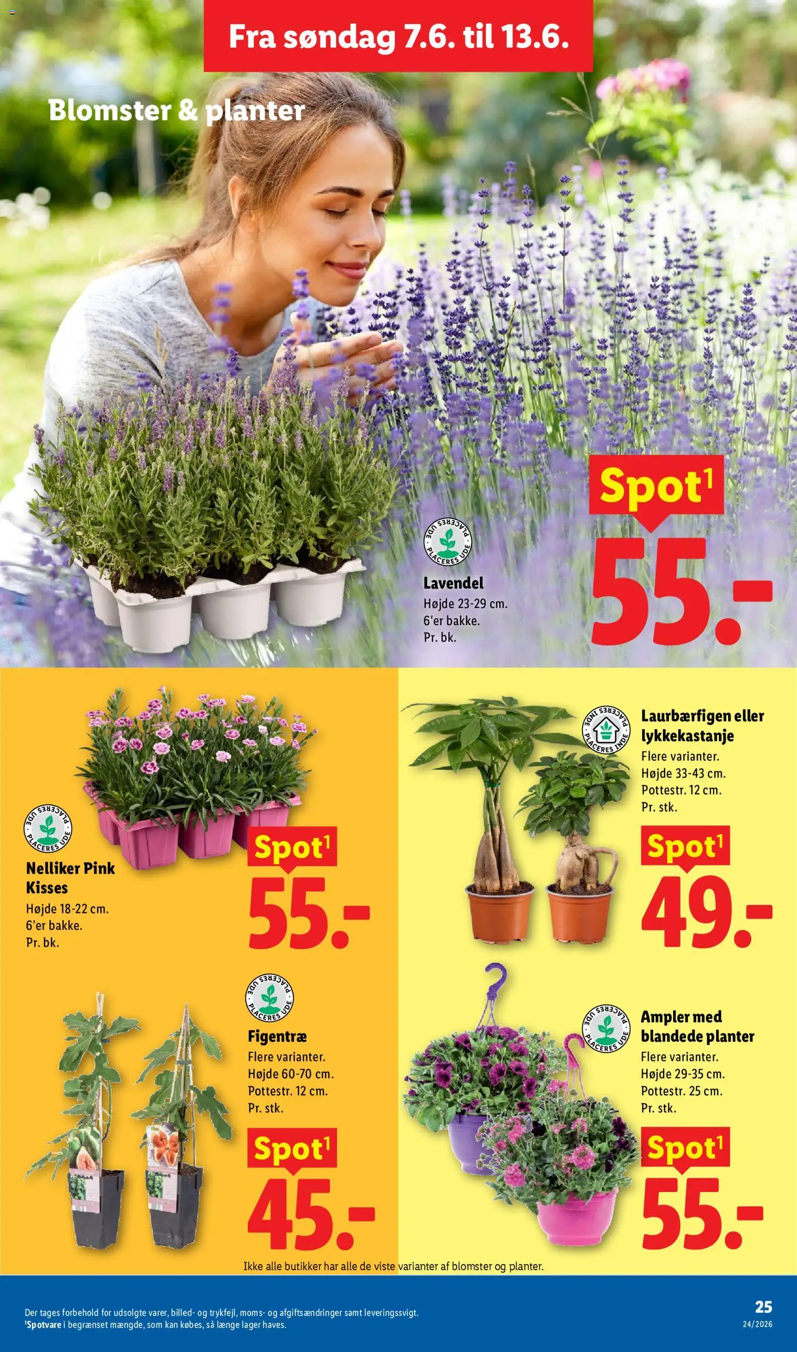 Lidl tilbudsavis – gyldig fra 07.06.2026 | Side: 30