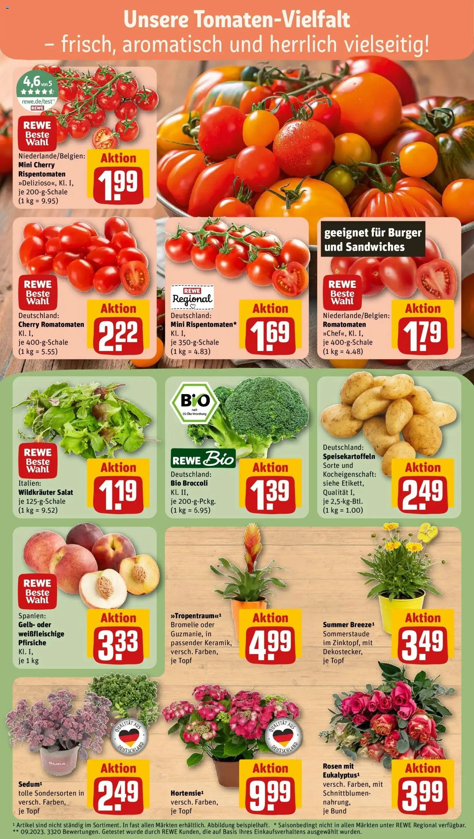 Rewe Prospekt Braunschweig – gültig ab 13.07.2026 | Seite: 7 | Produkte: Burger, Salat
