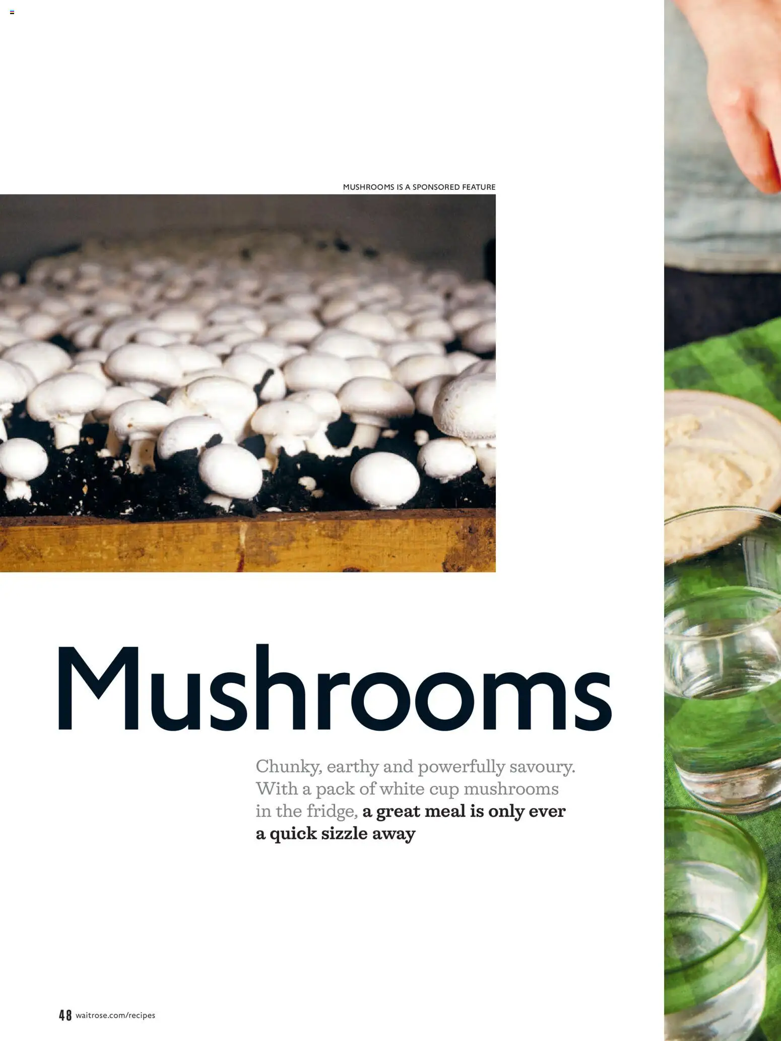 {H1} | Page: 48 | Products: Mushrooms