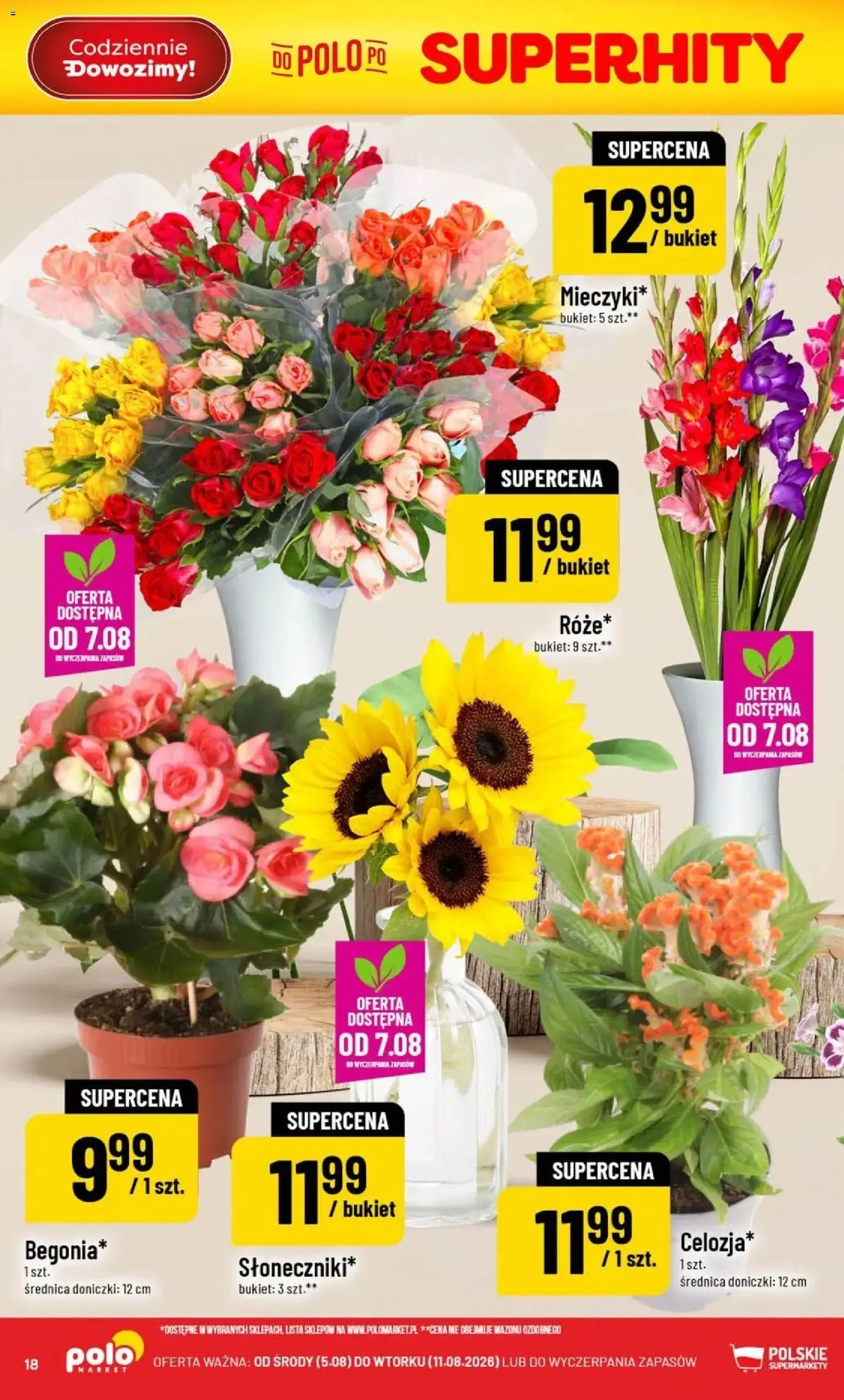 POLOmarket gazetka od 05.08.2026 | Strona: 18 | Produkty: Doniczki