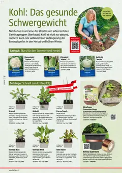 Bauhaus Reiche Ernte ab 25.05.2026 gültig | Seite: 30 | Produkte: Gemüse, Chinakohl, Blumenkohl