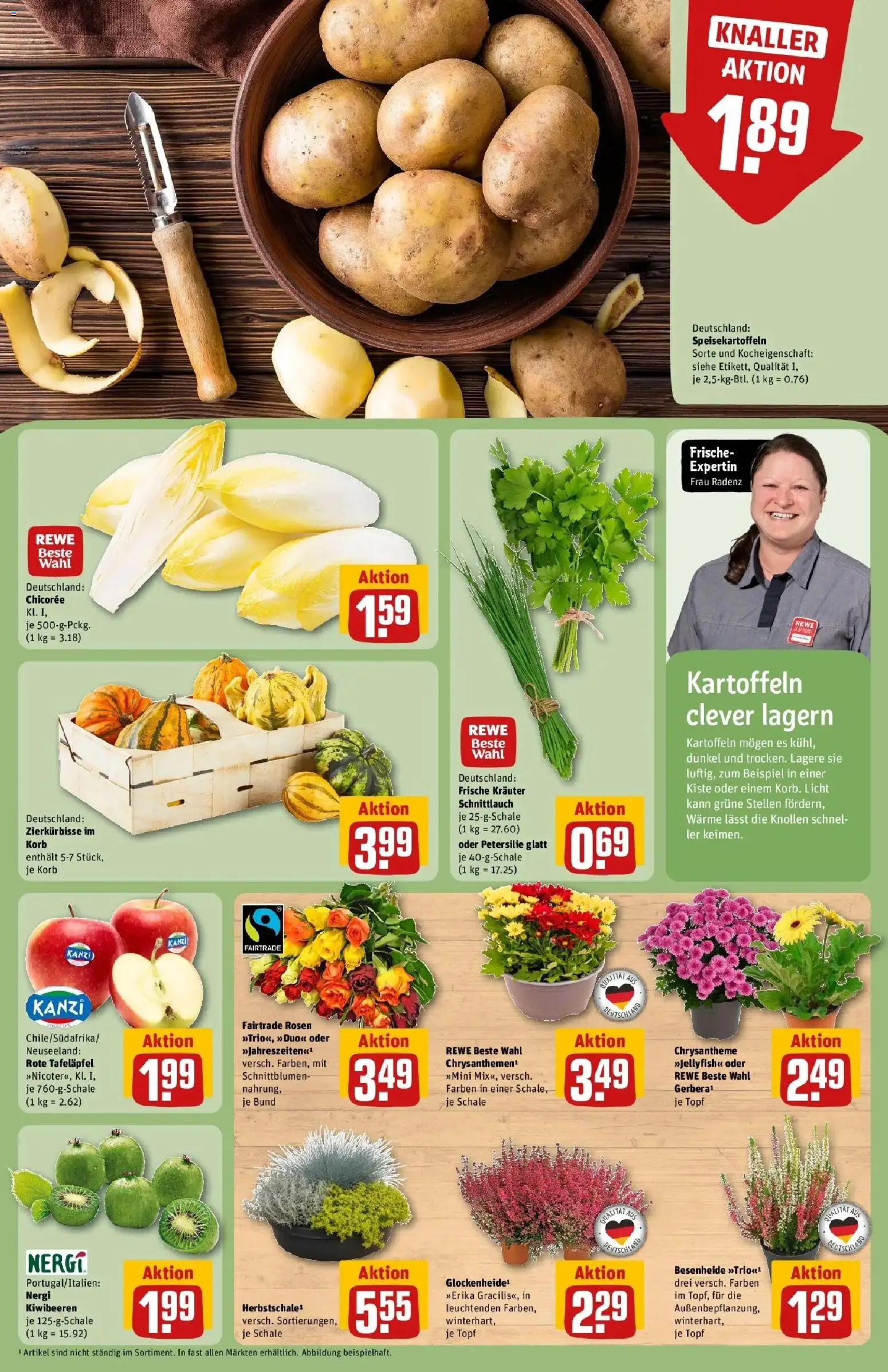 REWE Prospekt ab 21.09.2026 zum Blättern » Angebote | Seite: 13 | Produkte: Korb, Kartoffeln, Petersilie
