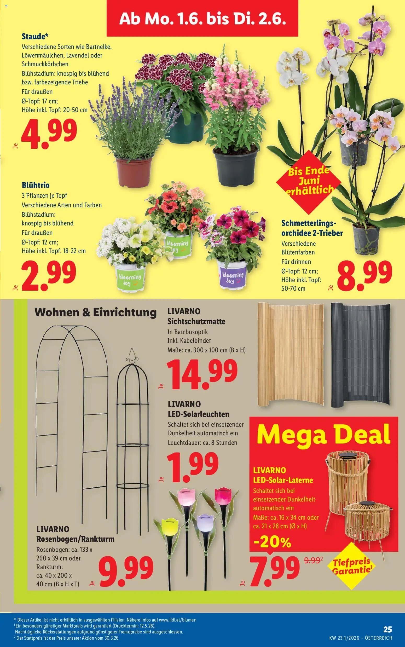 Lidl Flugblatt - Altenmarkt im Pongau, St. Johann im Pongau, Zell am See gültig ab 28.05.2026 | Seite: 32