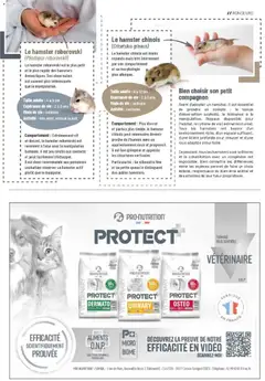 VillaVerde - Prévisualisation de VillaVerde catalogue animalerie valide à partir de 28.05.2026 | Page: 17 | Produits: Téléphone, Vidéo, Mais, Litière