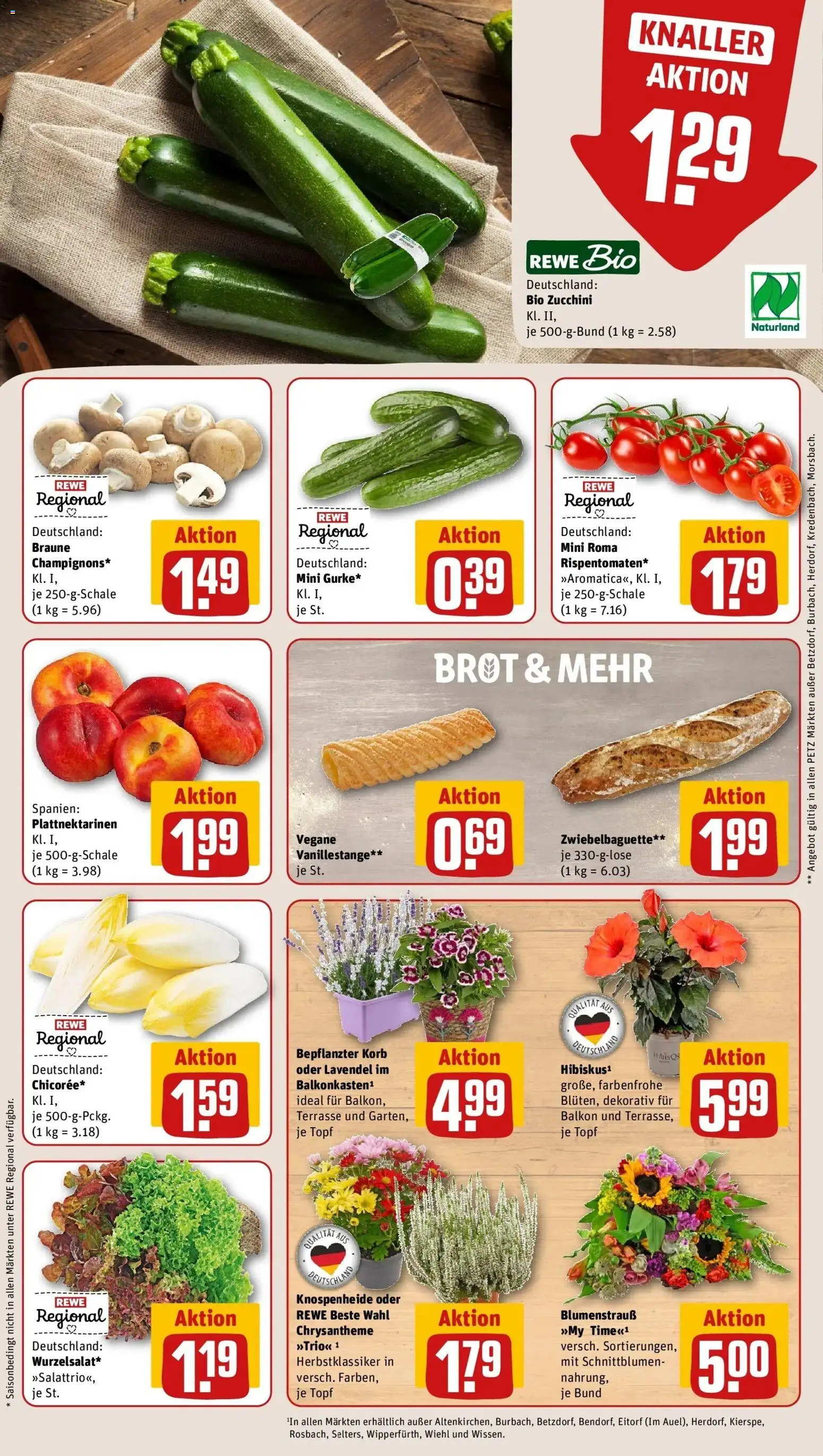 REWE Prospekt ab 17.08.2026 zum Blättern » Angebote | Seite: 9 | Produkte: Korb, Brot, Zucchini, Lavendel