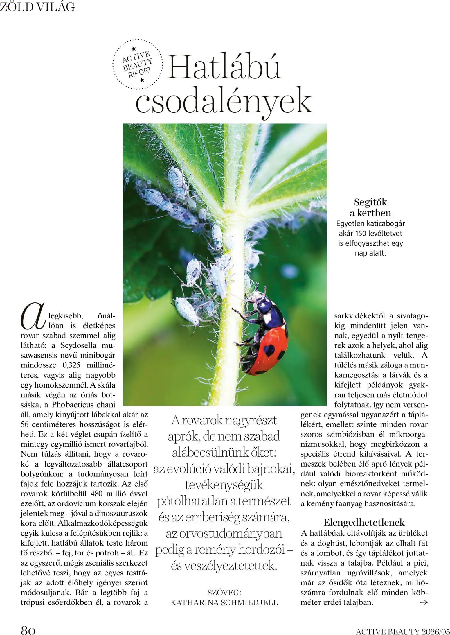 DM Drogerie Markt akciós ujság - amely érvényes a következő dátumtól: 21.05.2026 | Oldal: 80