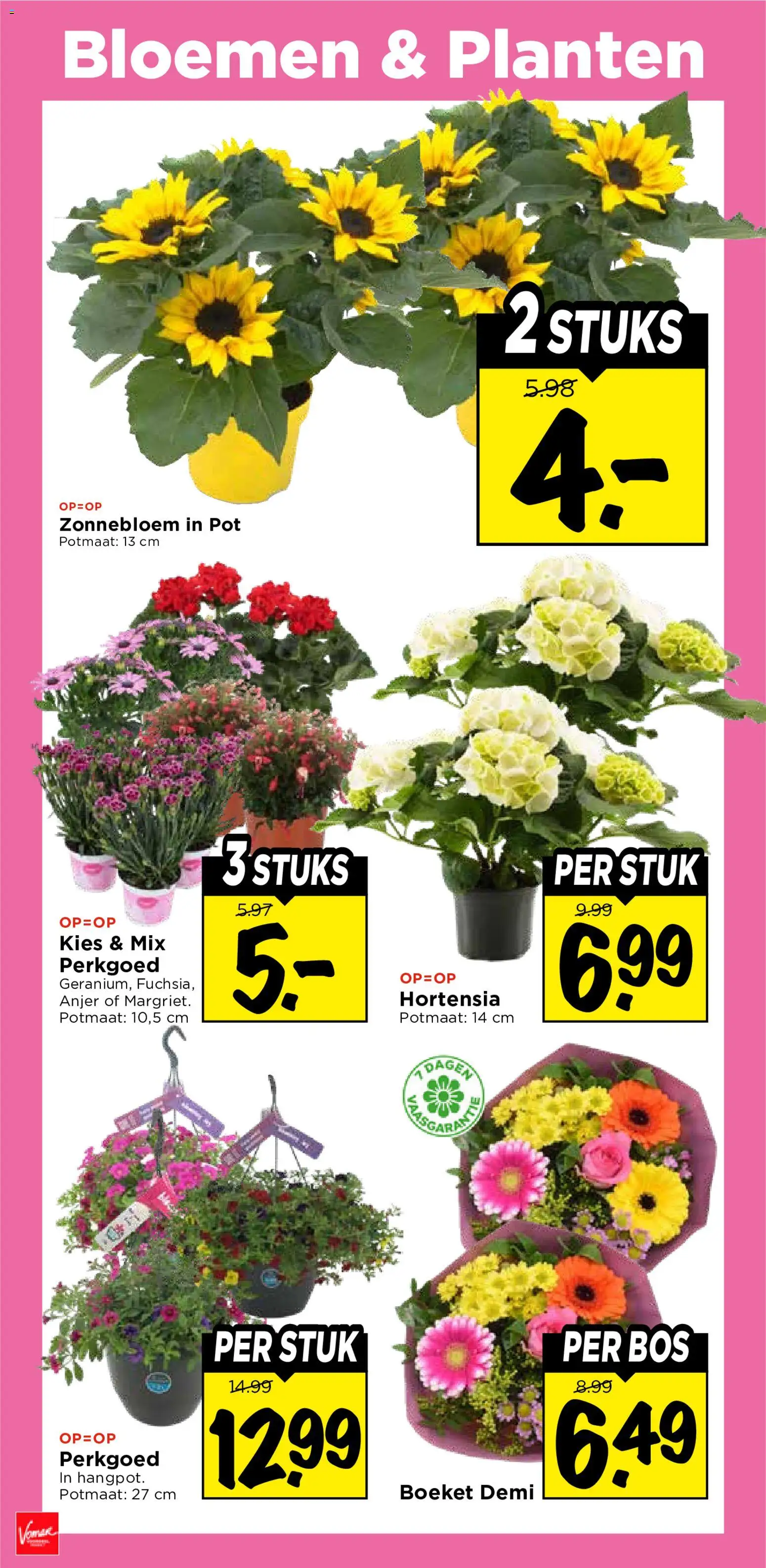 {H1} | Pagina: 28 | Producten: Pot, Bloemen