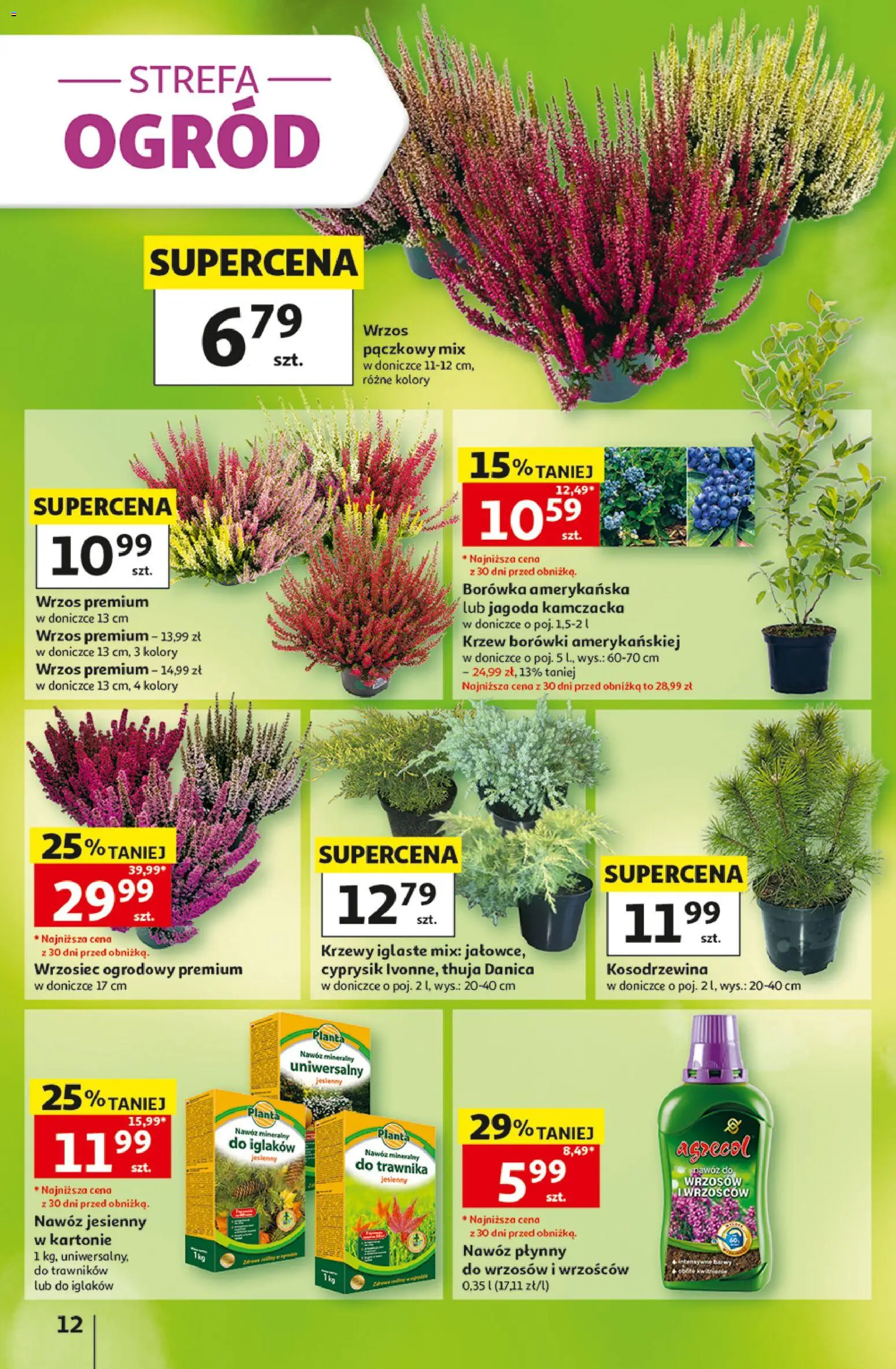Auchan gazetka - 30 Lat Hipermarket od 10.09.2026 | Strona: 12 | Produkty: Borówki, Borówka amerykańska, Wrzos, Nawóz