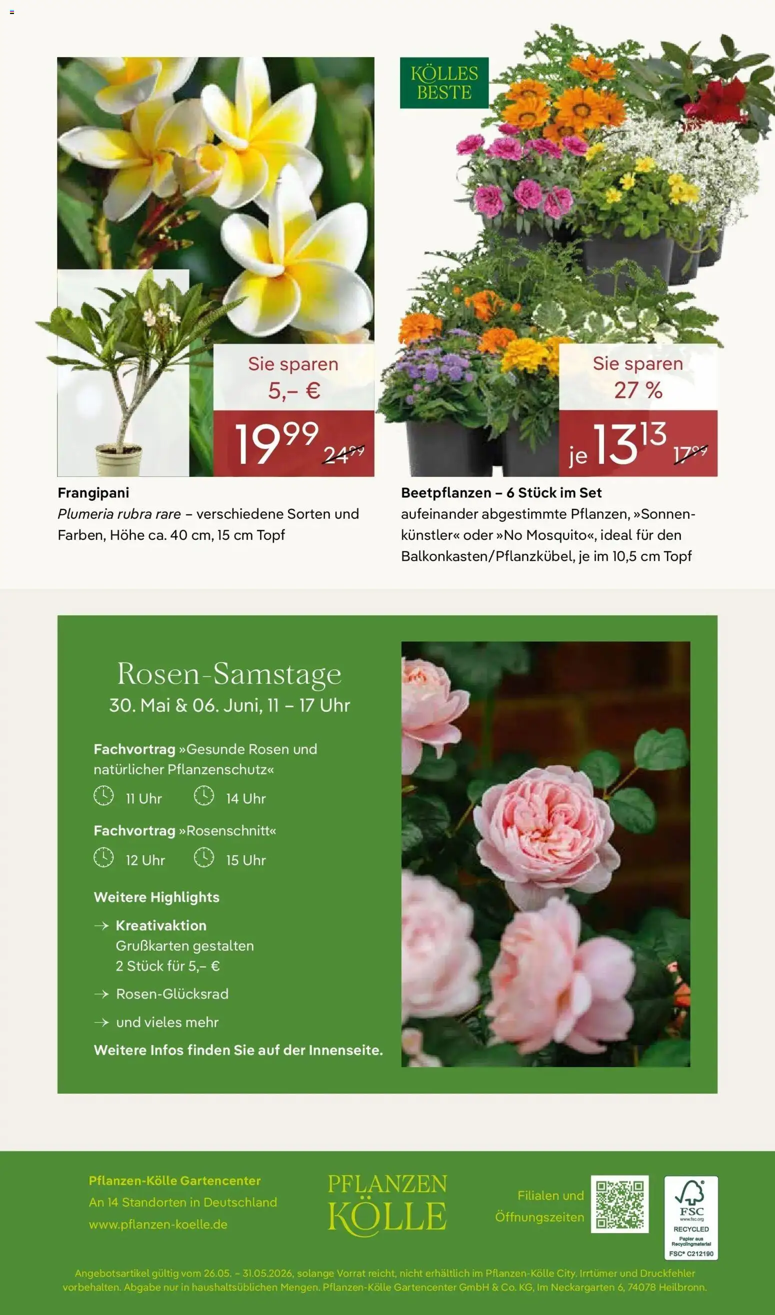 Pflanzen-Kölle Rosenerlebniswochen Borgsdorf – gültig ab 26.05.2026 | Seite: 10 | Produkte: Uhr