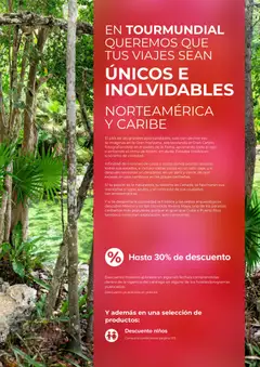 Vista previa Viajes El Corte Inglés Norteamérica y Caribe válido desde el 01/01/2026 | Página: 3 | Productos: Té, Tumbona