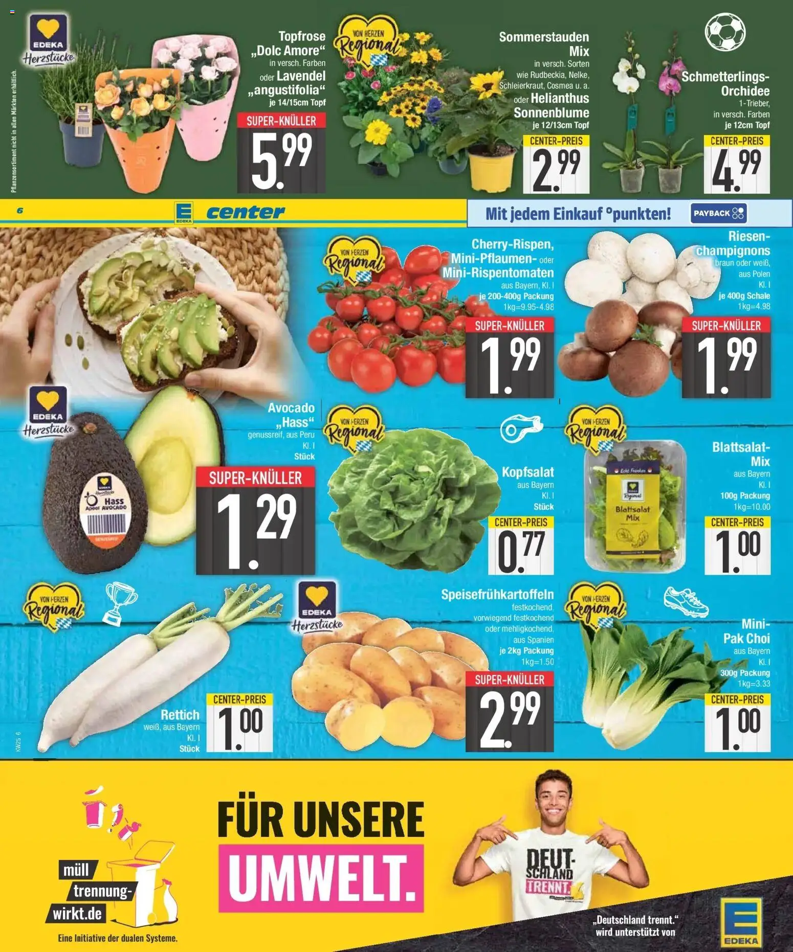 E center Prospekt Wertingen – gültig ab 15.06.2026 | Seite: 6 | Produkte: Orchidee, Avocado, Champignons, Lavendel