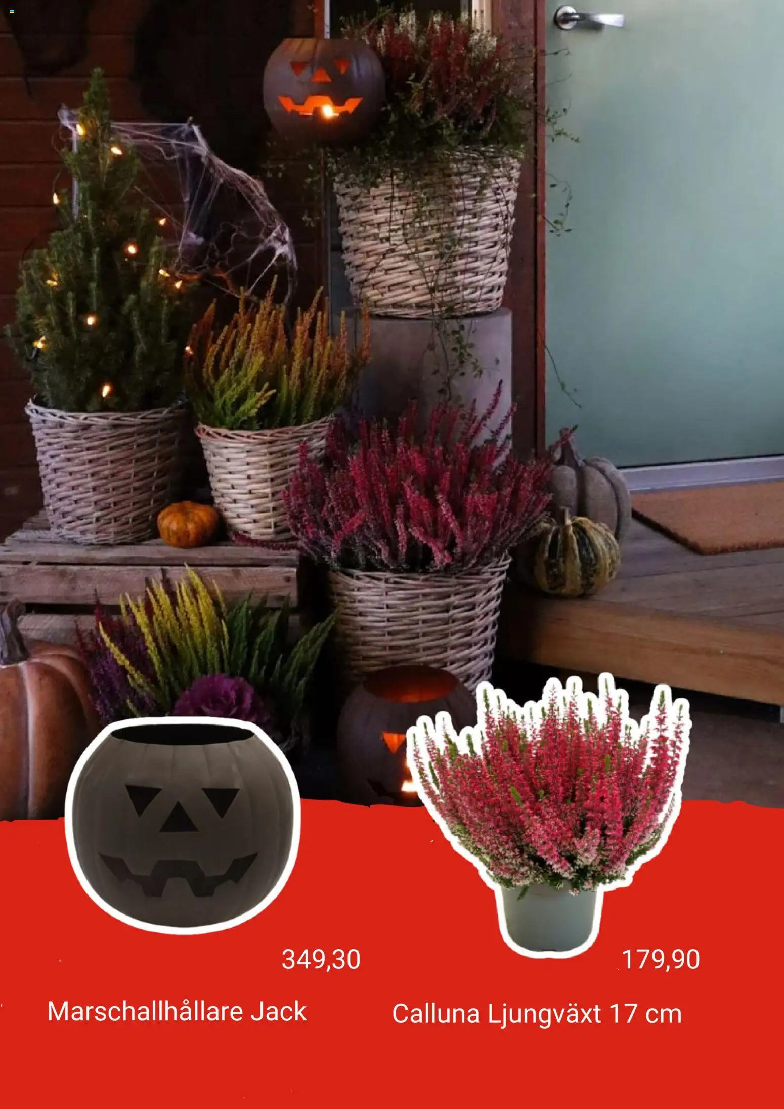 Plantagen reklamblad aktuell från 16/10/2026 | Sida: 4