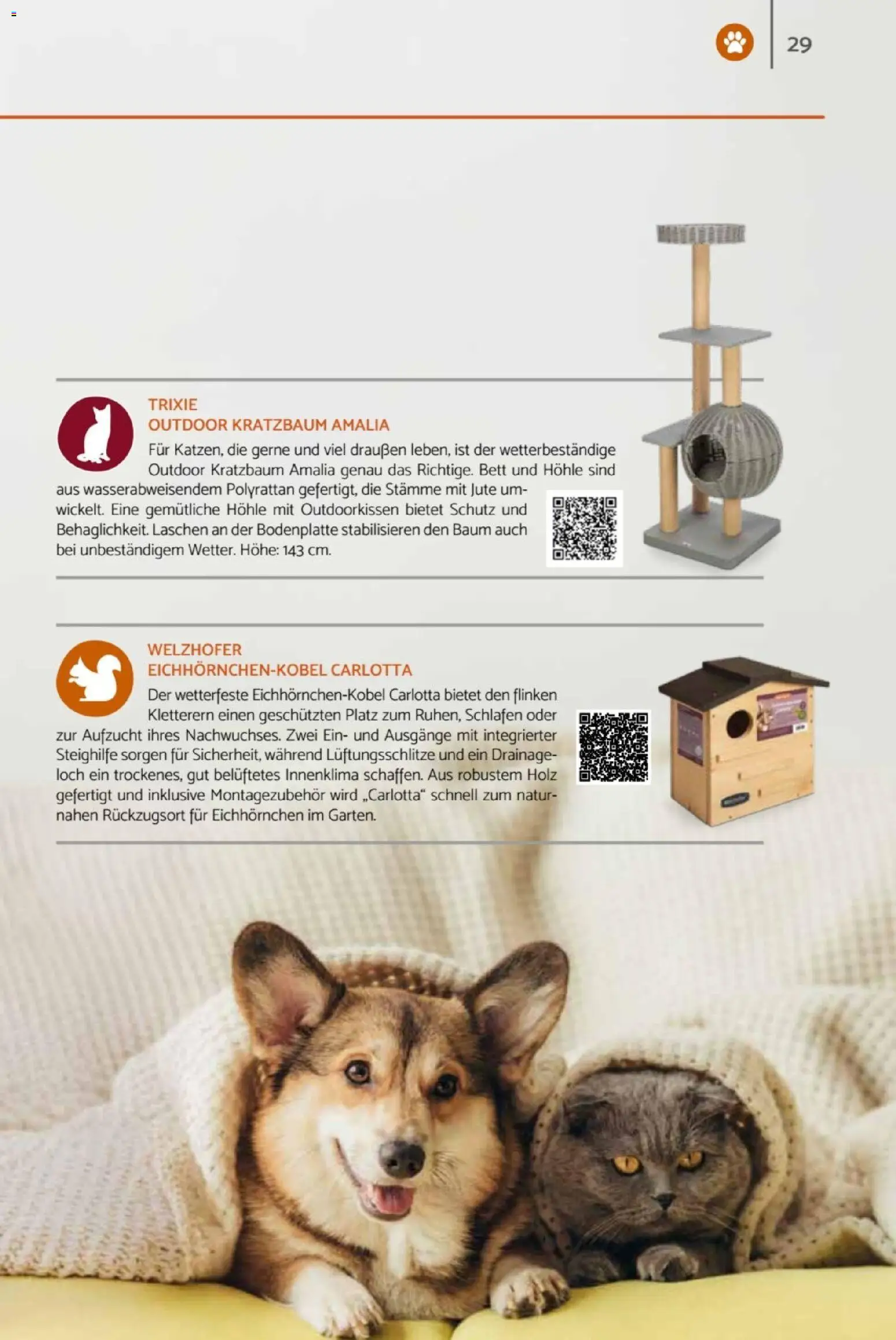 zookauf Heimtier Journal – gültig ab 01.06.2026 | Seite: 29 | Produkte: Bett