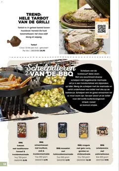 Hanos folder - BBQ & Buiten koken special - Voorbeeld van een folder van Hanos, geldig van 15-06-2026 | Pagina: 12 | Producten: Tomaat, Kisperec, Mosselen, Gember