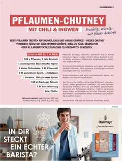 HIT pures Leben 03/2026 ab 01.07.2026 gültig | Seite: 27 | Produkte: Pflaumen, Rotwein, Zwiebeln, Salz