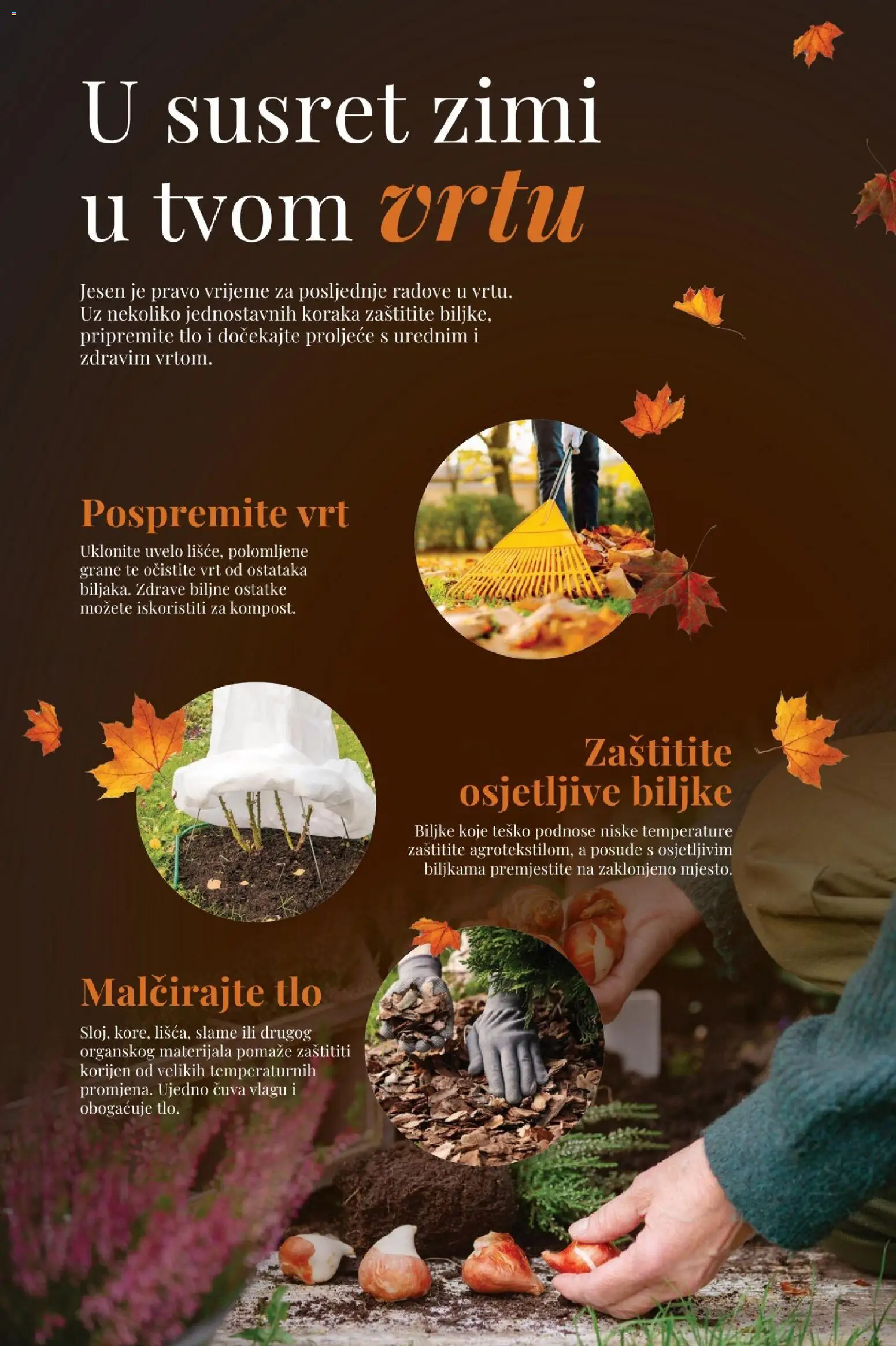 Pevex katalog | vrijedi od 29.10.2026 | Stranica: 5