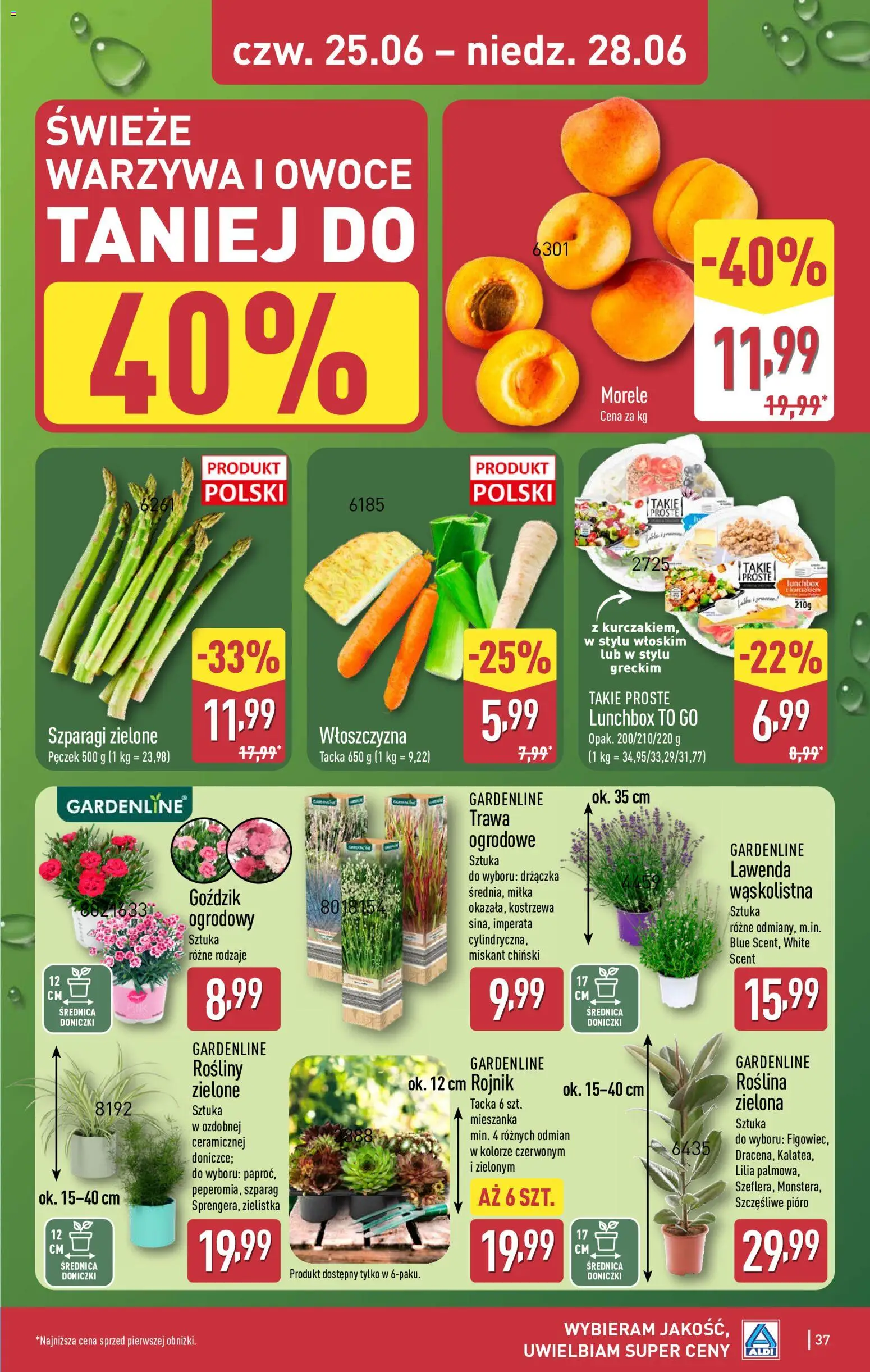 Aldi Polsko leták od 22.06.2026 | Strana: 37