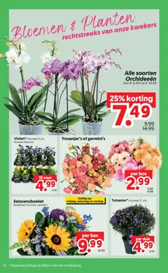 Dekamarkt folder - Voorbeeld van een folder van Dekamarkt, geldig van 08-09-2026 | Pagina: 20 | Producten: Bloemen