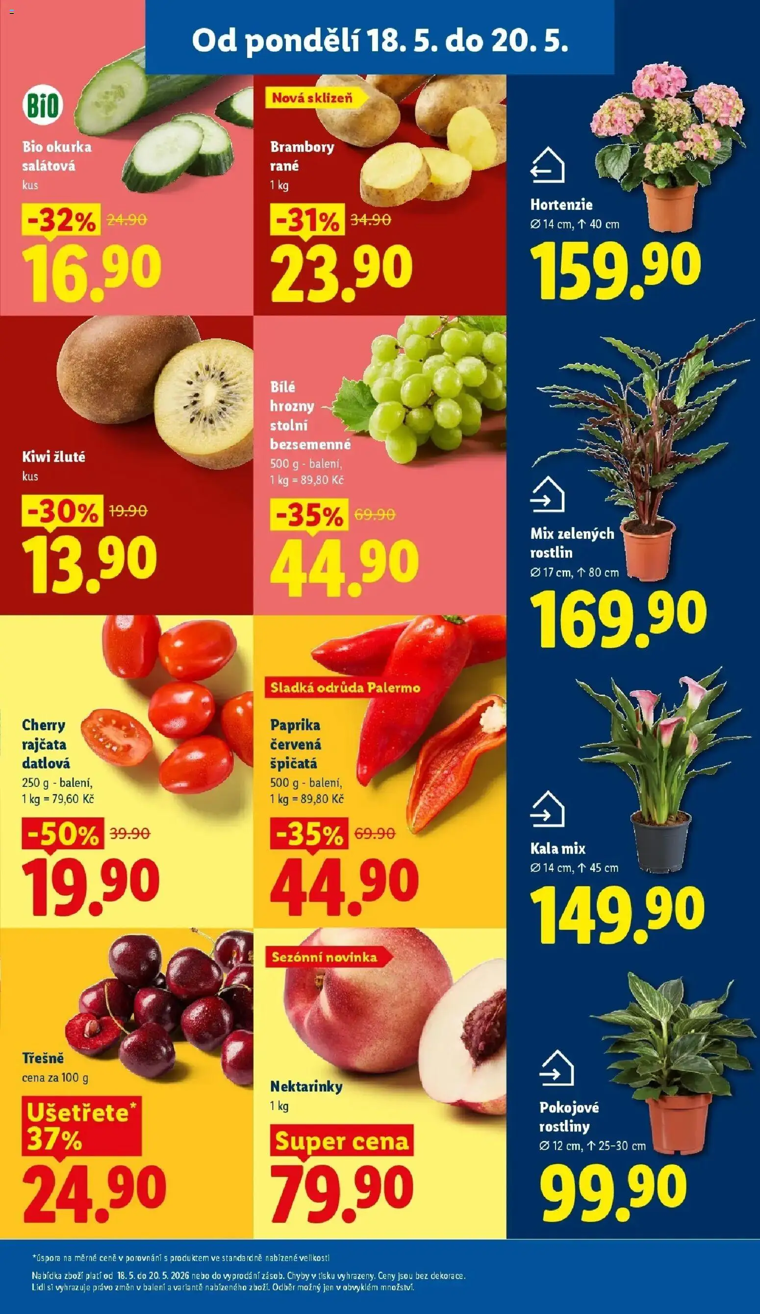 Lidl aktuální leták od 18.05.2026 | Strana: 11 | Produkty: Nektarinky, Bílé hrozny, Kiwi žluté, Pokojové rostliny