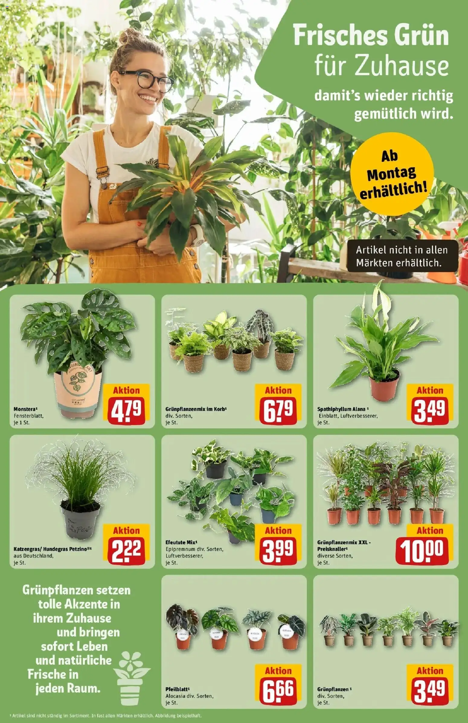 REWE Prospekt ab 17.08.2026 zum Blättern » Angebote | Seite: 10