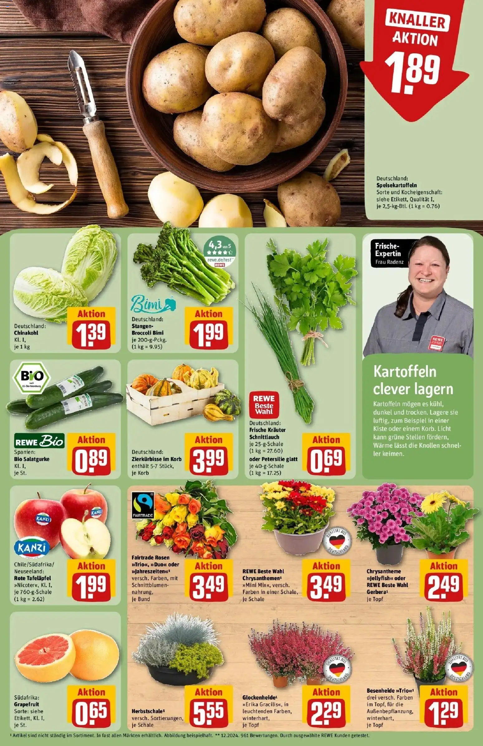 REWE Prospekt ab 21.09.2026 zum Blättern » Angebote | Seite: 13 | Produkte: Korb, Kartoffeln, Chinakohl, Petersilie