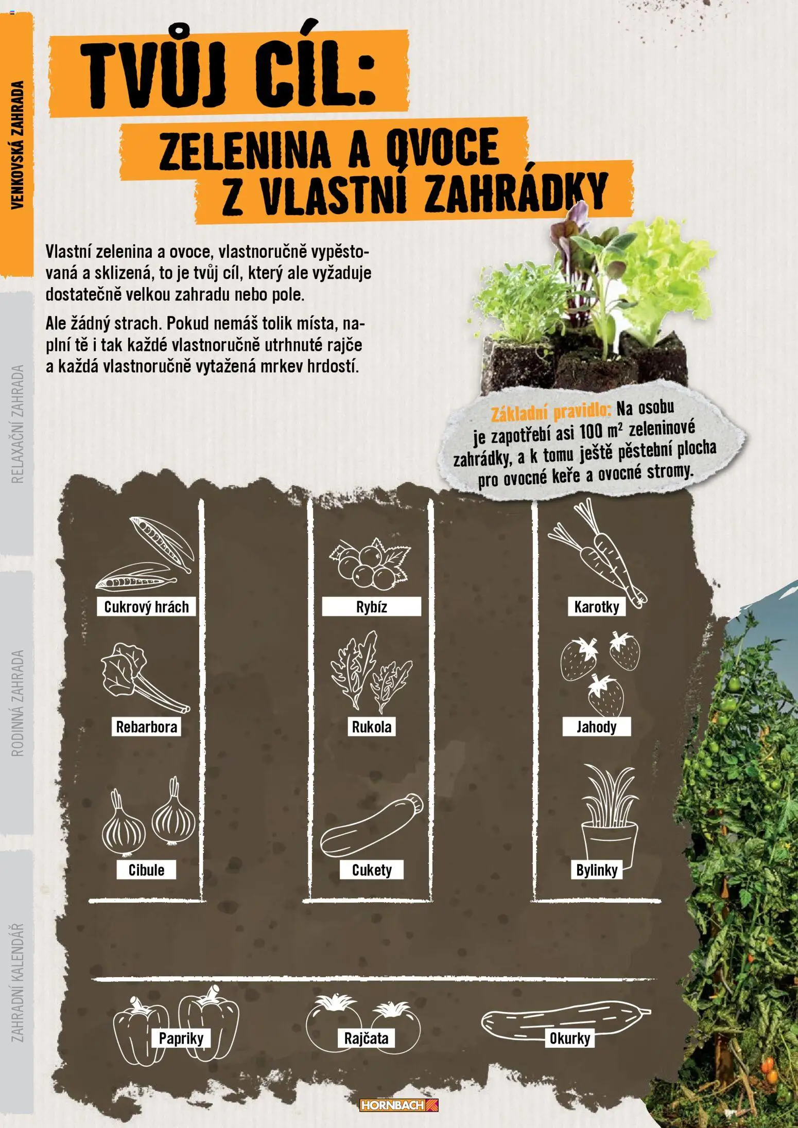 HORNBACH leták - Zahrada od 01.01.2026 | Strana: 6 | Produkty: Rajče, Mrkev, Bylinky, Cibule