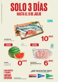Vista previa Hipercor catálogo válido desde el 07/07/2026