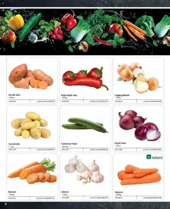 Ofertele Selgros valabile de la 09.02.2024 | Pagină: 8 | Produse: Castraveți, Cartofi, Ceapă, Usturoi