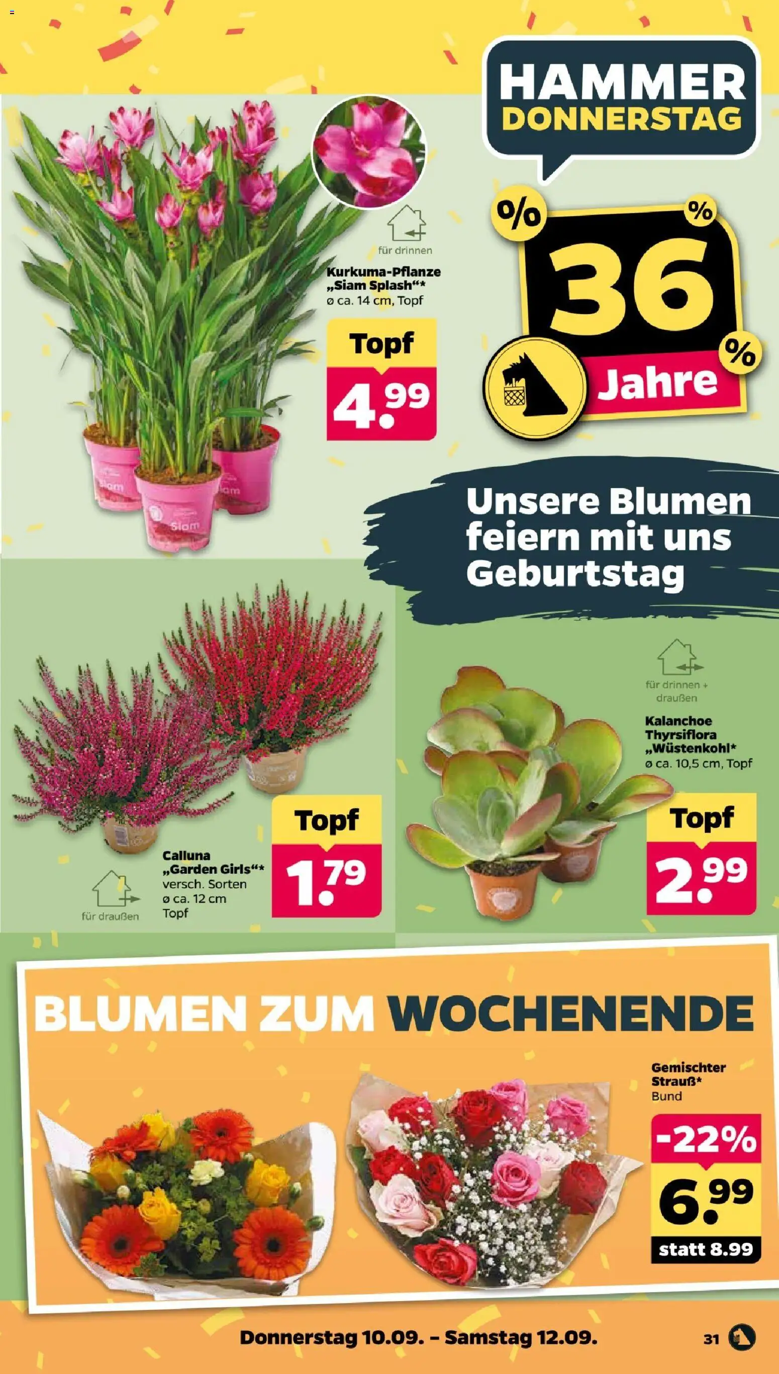 Netto Prospekt – gültig ab 07.09.2026 | Seite: 35