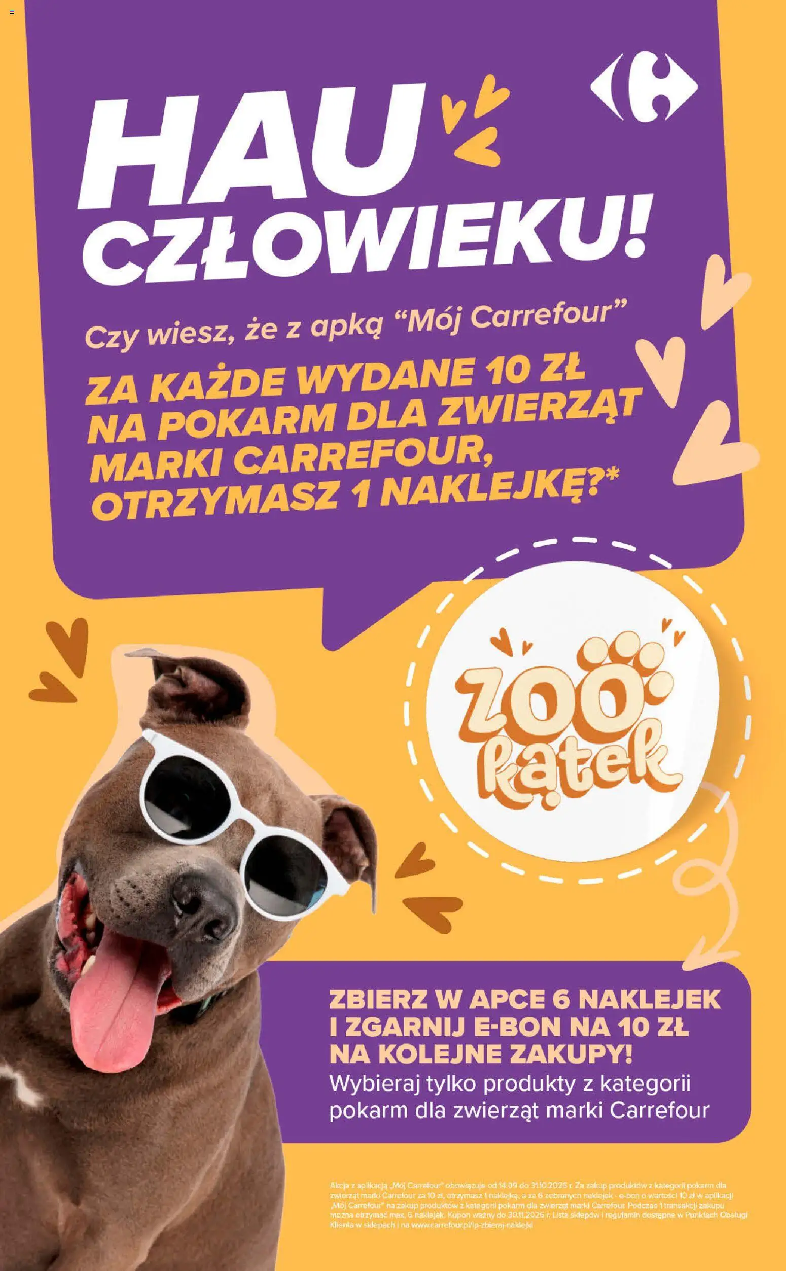 Carrefour gazetka - Halloween od 26.10.2026 | Strona: 9