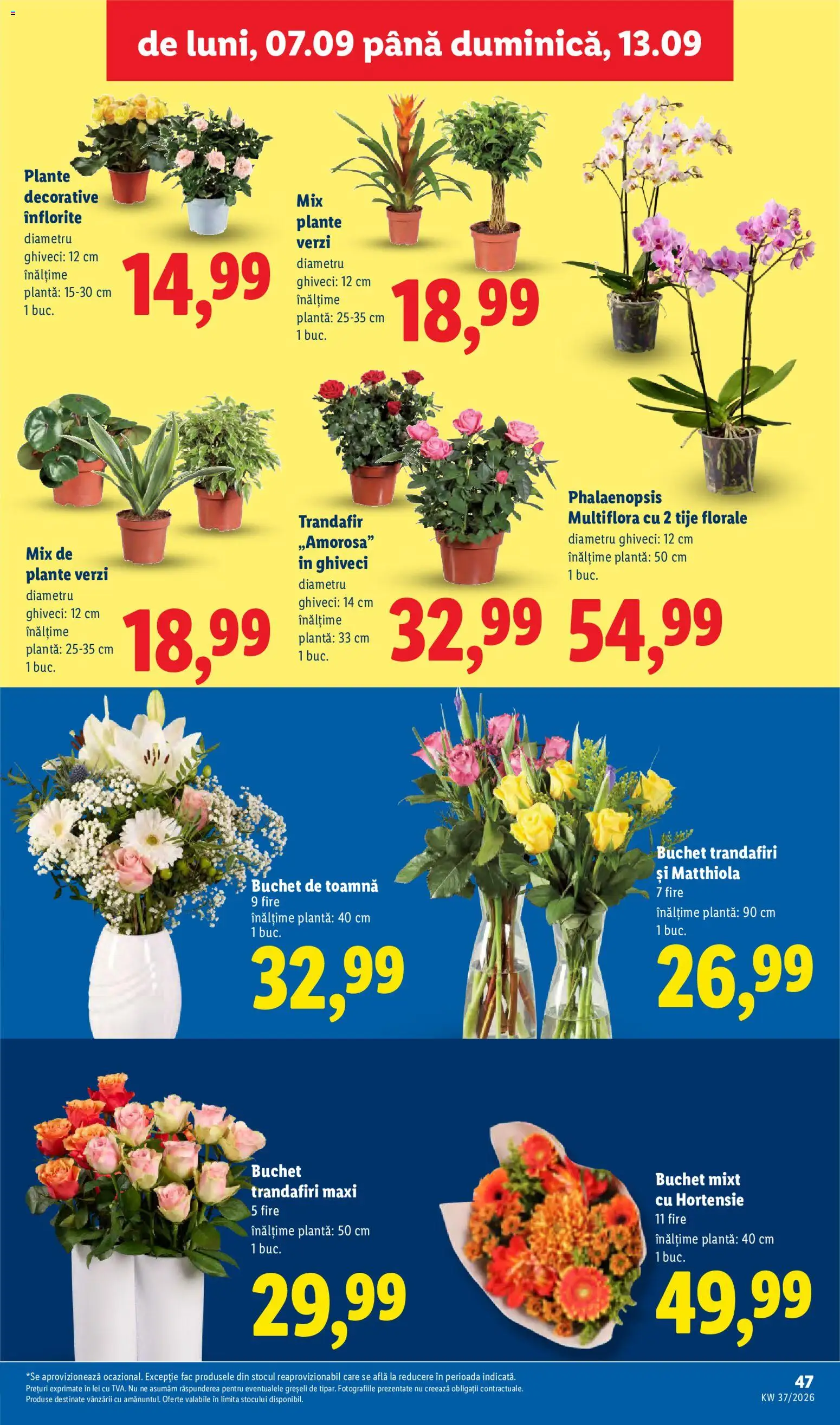 Noul catalog Lidl – valabil de la 07.09.2026 | Pagină: 47