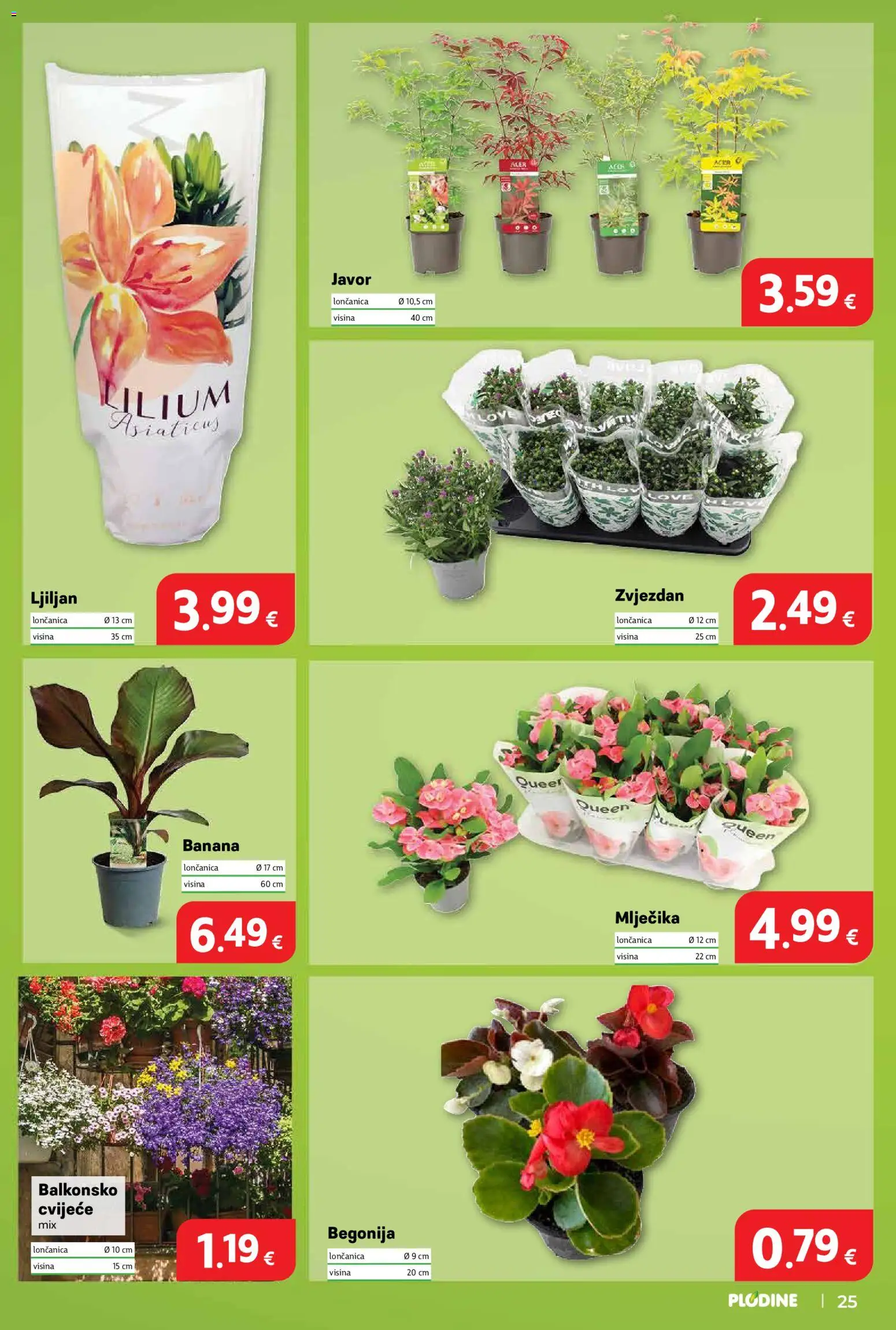 Plodine katalog | vrijedi od 17.06.2026 | Stranica: 25 | Proizvodi: Cvijeće