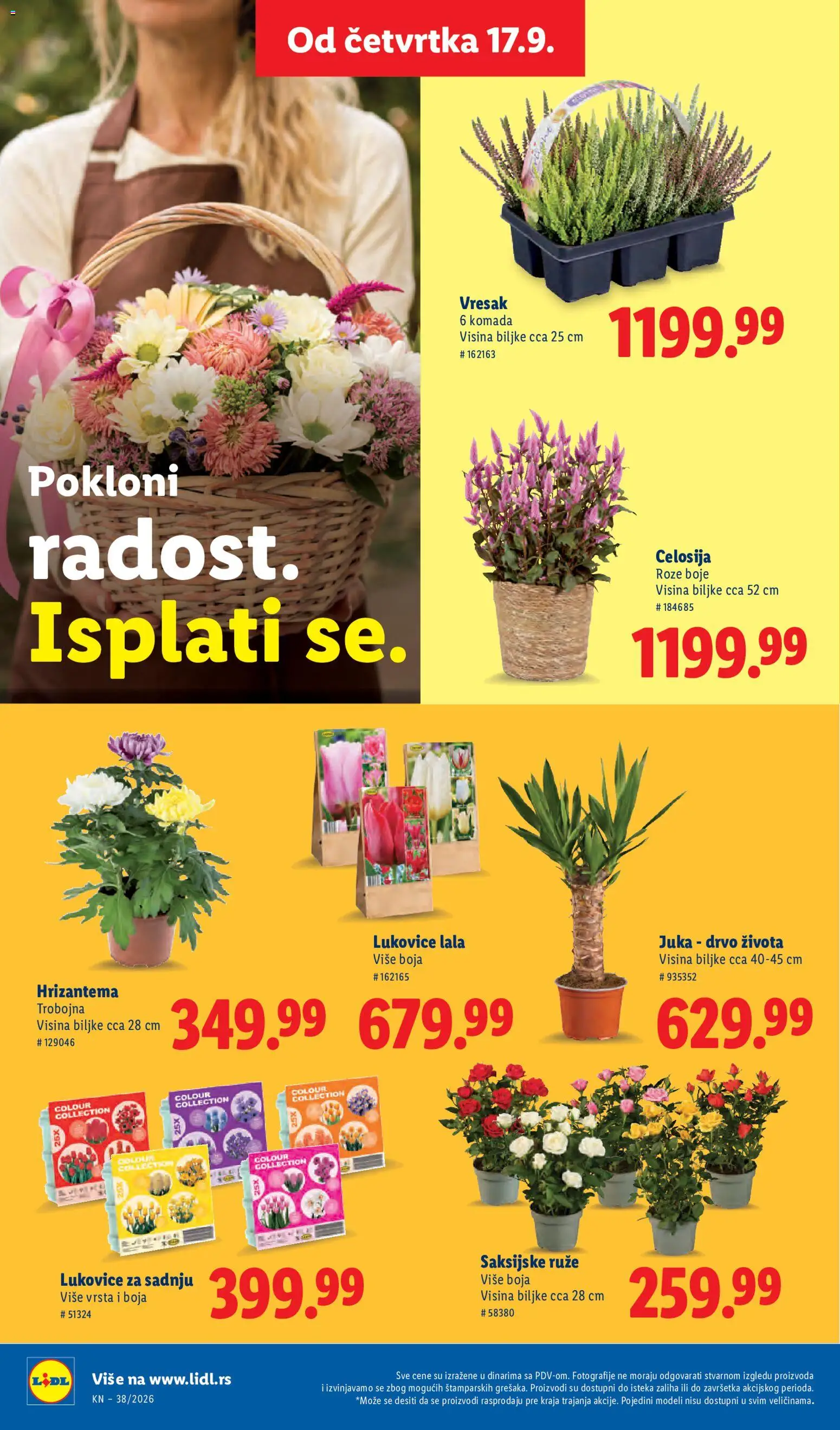 Lidl katalog - važi od 17.09.2026 | Strana: 58